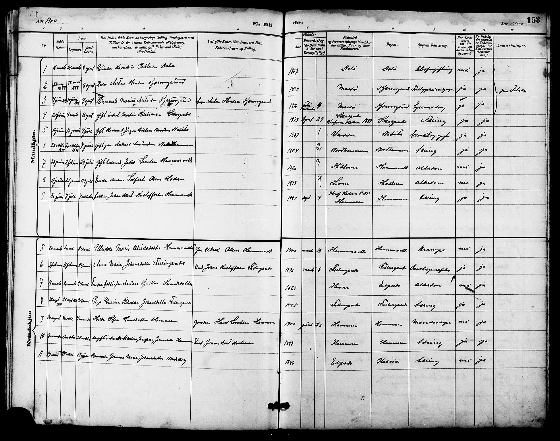 Ministerialprotokoller, klokkerbøker og fødselsregistre - Sør-Trøndelag, AV/SAT-A-1456/641/L0598: Parish register (copy) no. 641C02, 1893-1910, p. 153