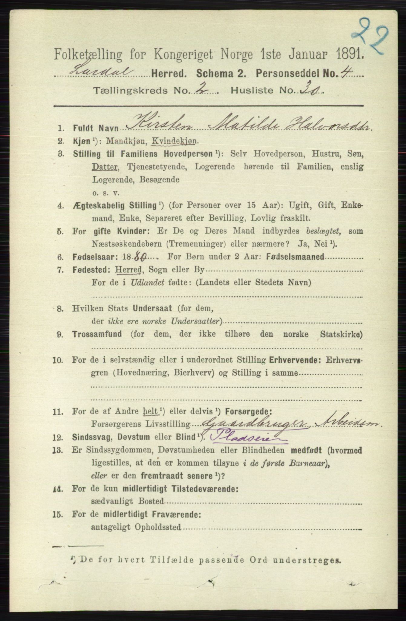 RA, 1891 census for 0728 Lardal, 1891, p. 890