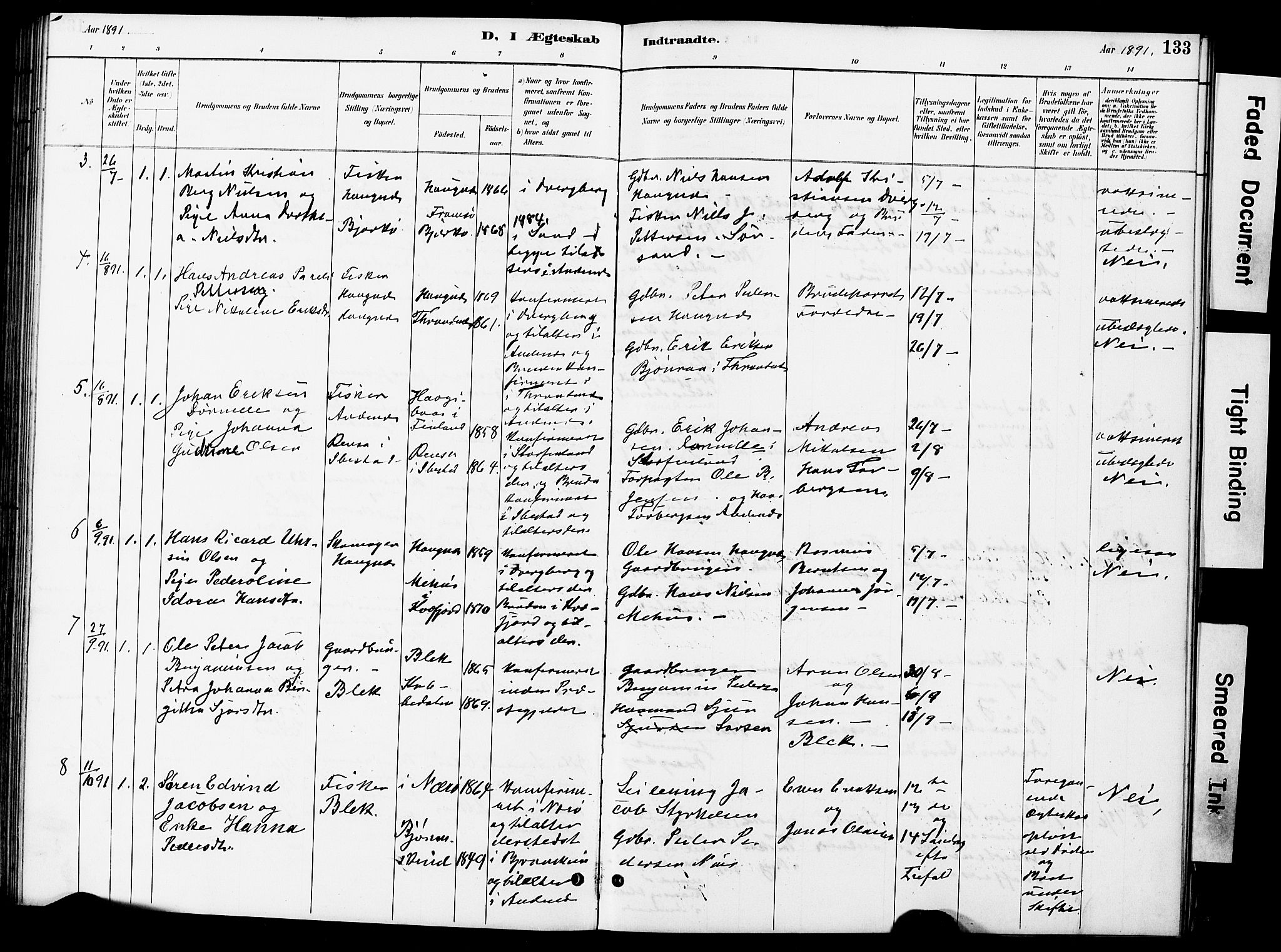 Ministerialprotokoller, klokkerbøker og fødselsregistre - Nordland, AV/SAT-A-1459/899/L1448: Parish register (copy) no. 899C03, 1887-1902, p. 133