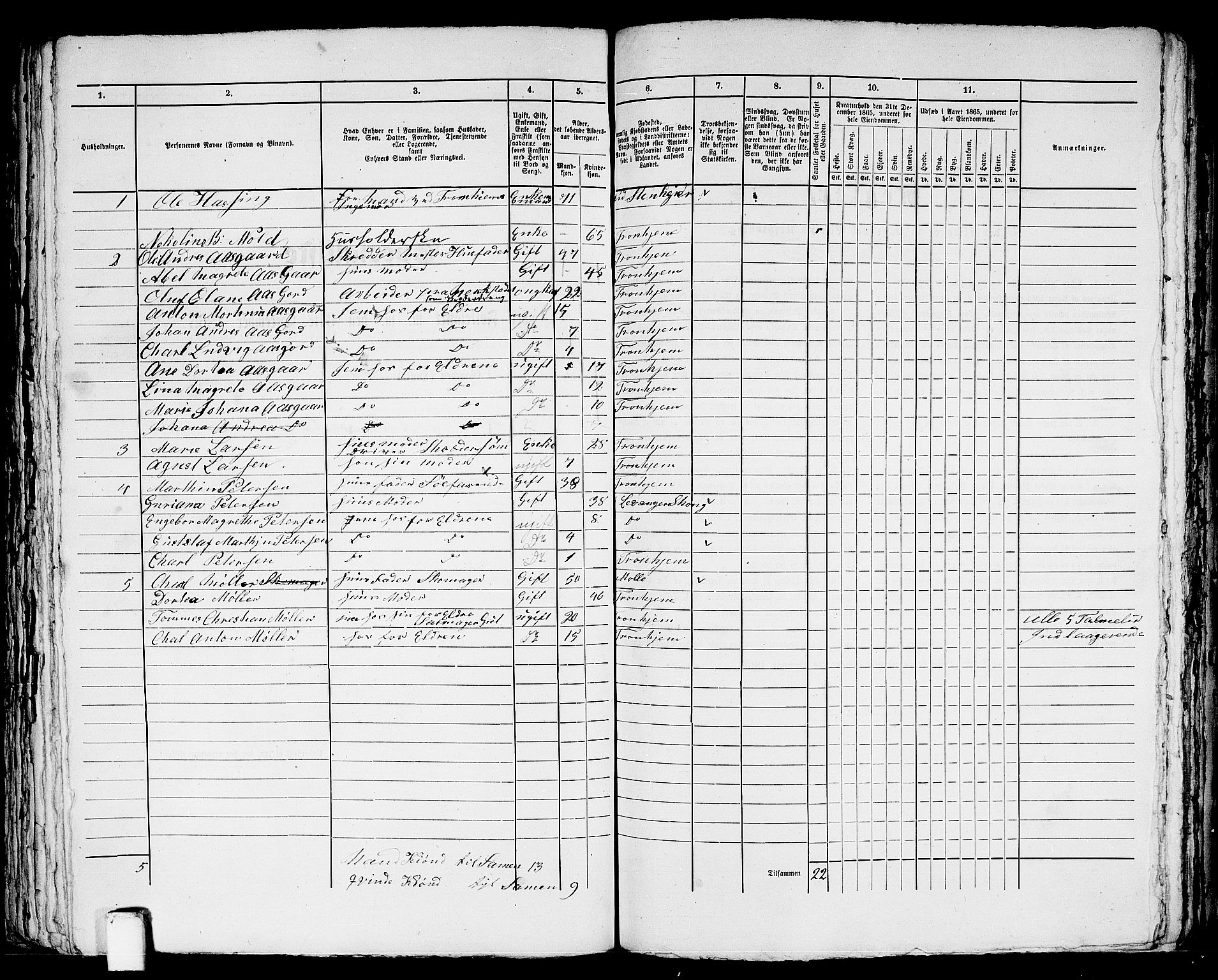 RA, 1865 census for Trondheim, 1865, p. 1877