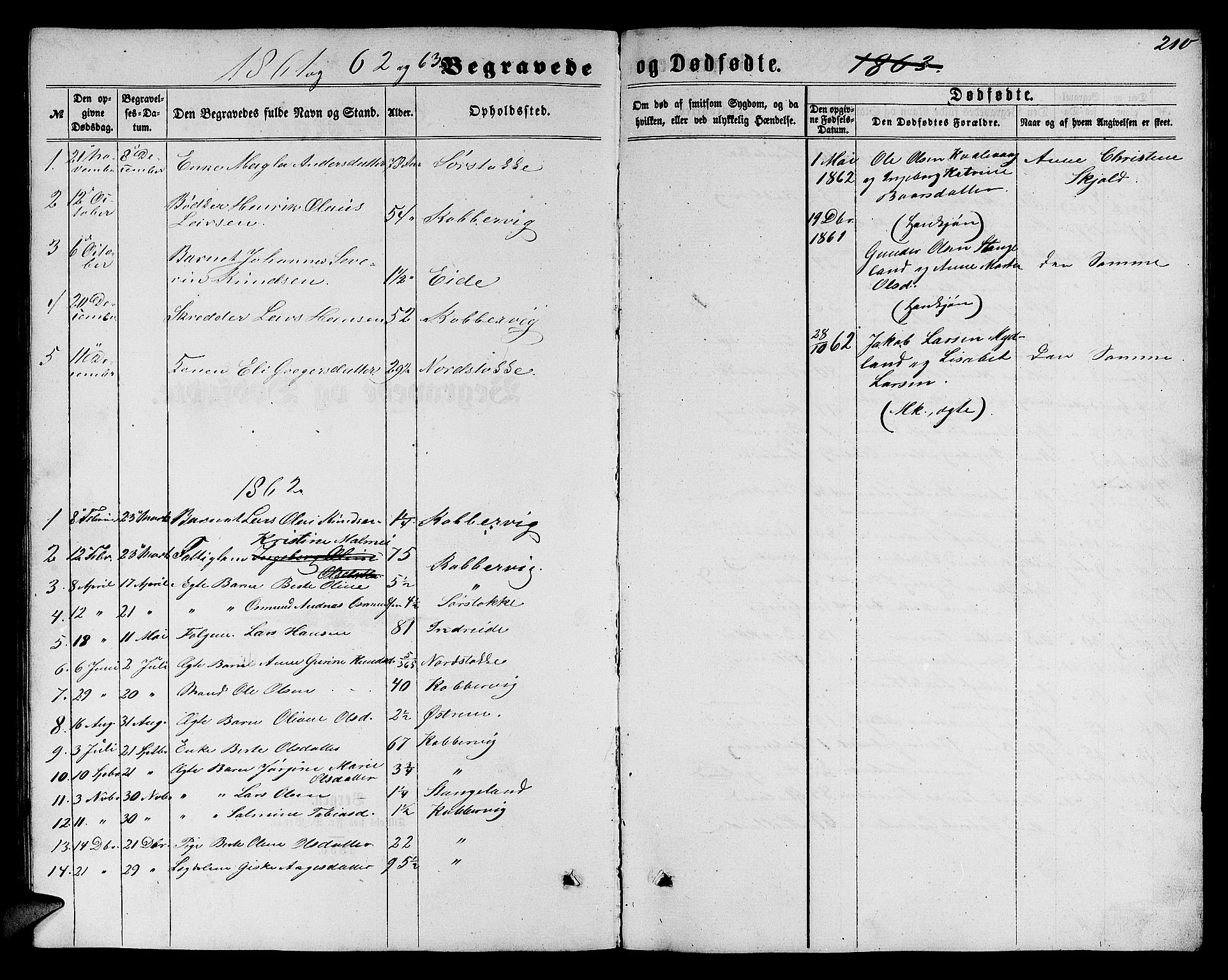 Avaldsnes sokneprestkontor, SAST/A -101851/H/Ha/Hab/L0004: Parish register (copy) no. B 4, 1861-1876, p. 210