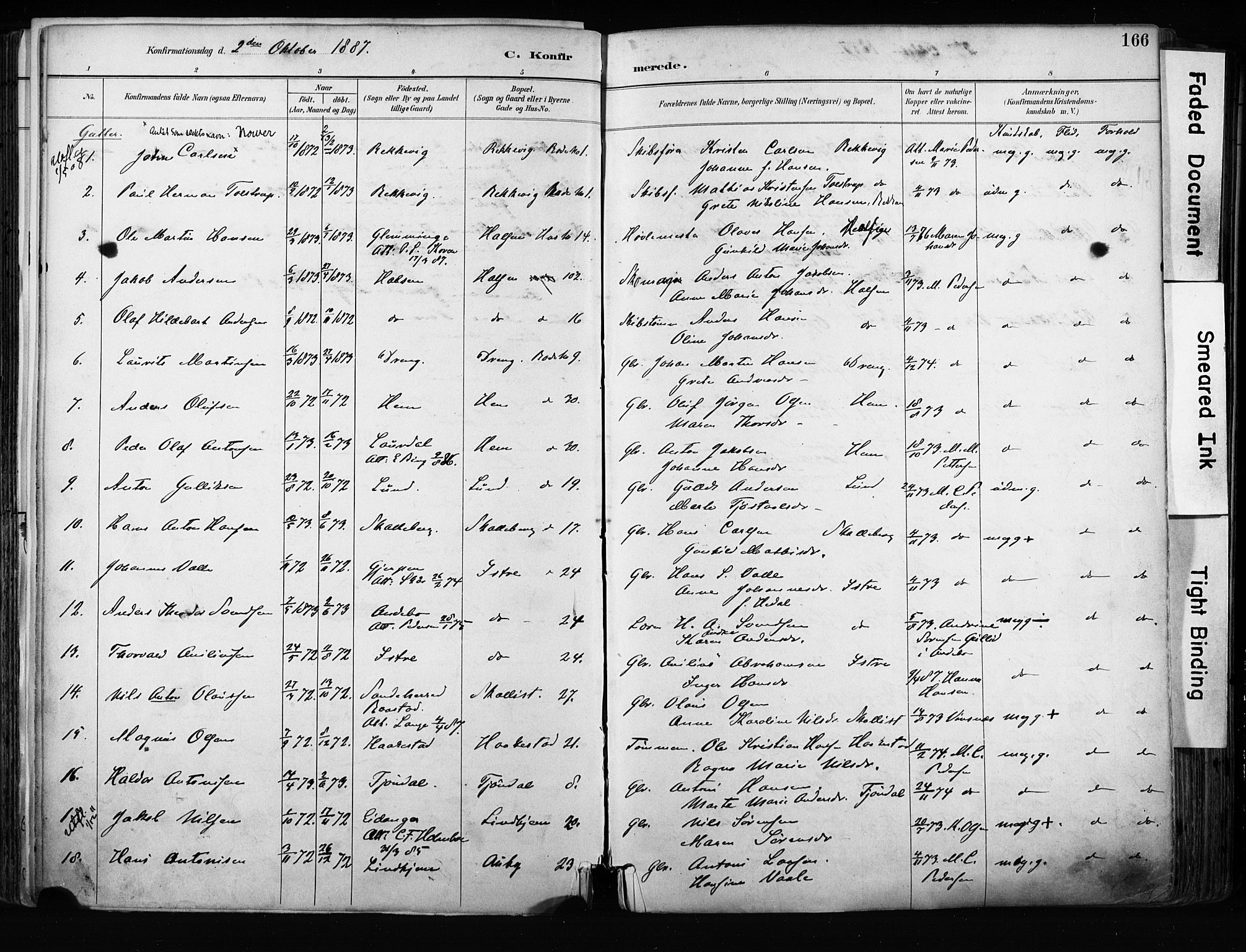 Tjølling kirkebøker, SAKO/A-60/F/Fa/L0009: Parish register (official) no. 9, 1887-1905, p. 166