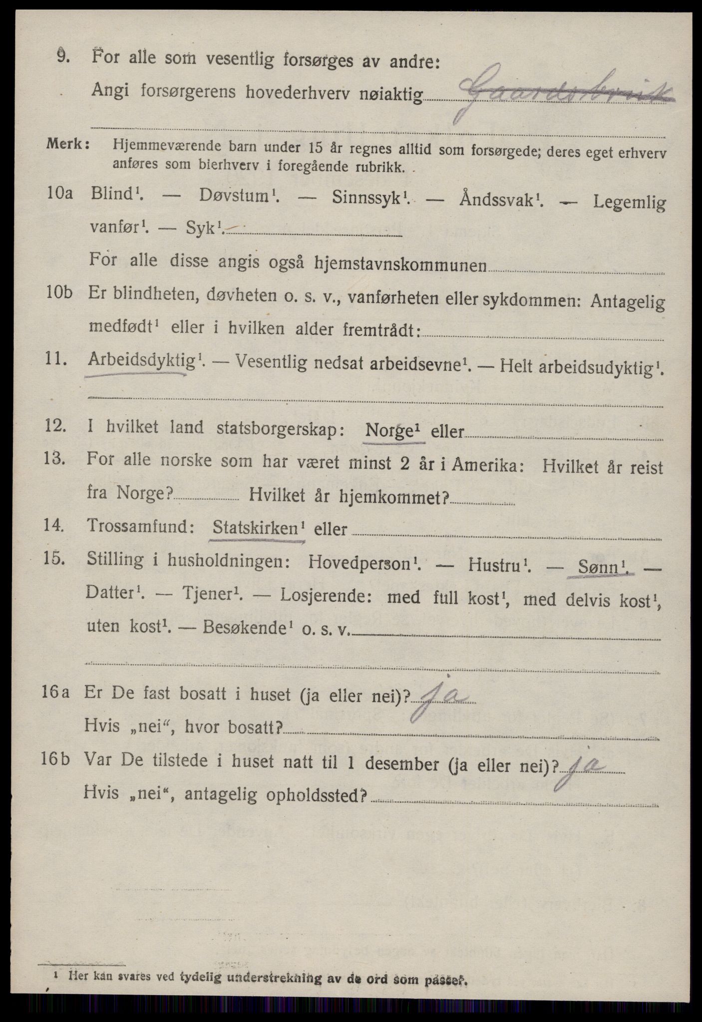 SAT, 1920 census for Borgund, 1920, p. 11251