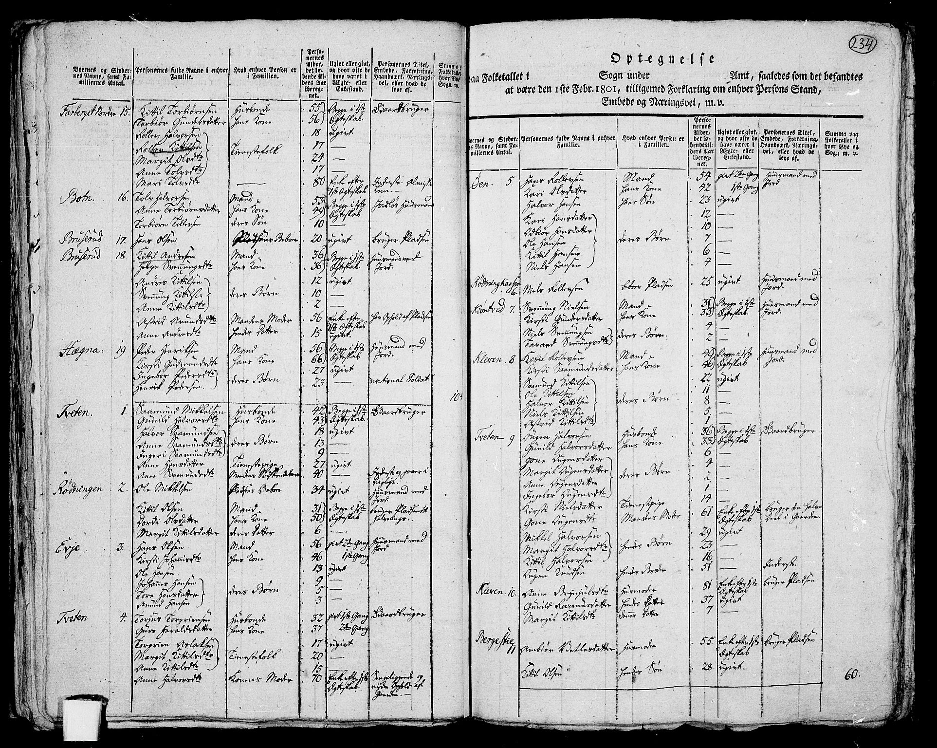RA, 1801 census for 0821P Bø, 1801, p. 233b-234a