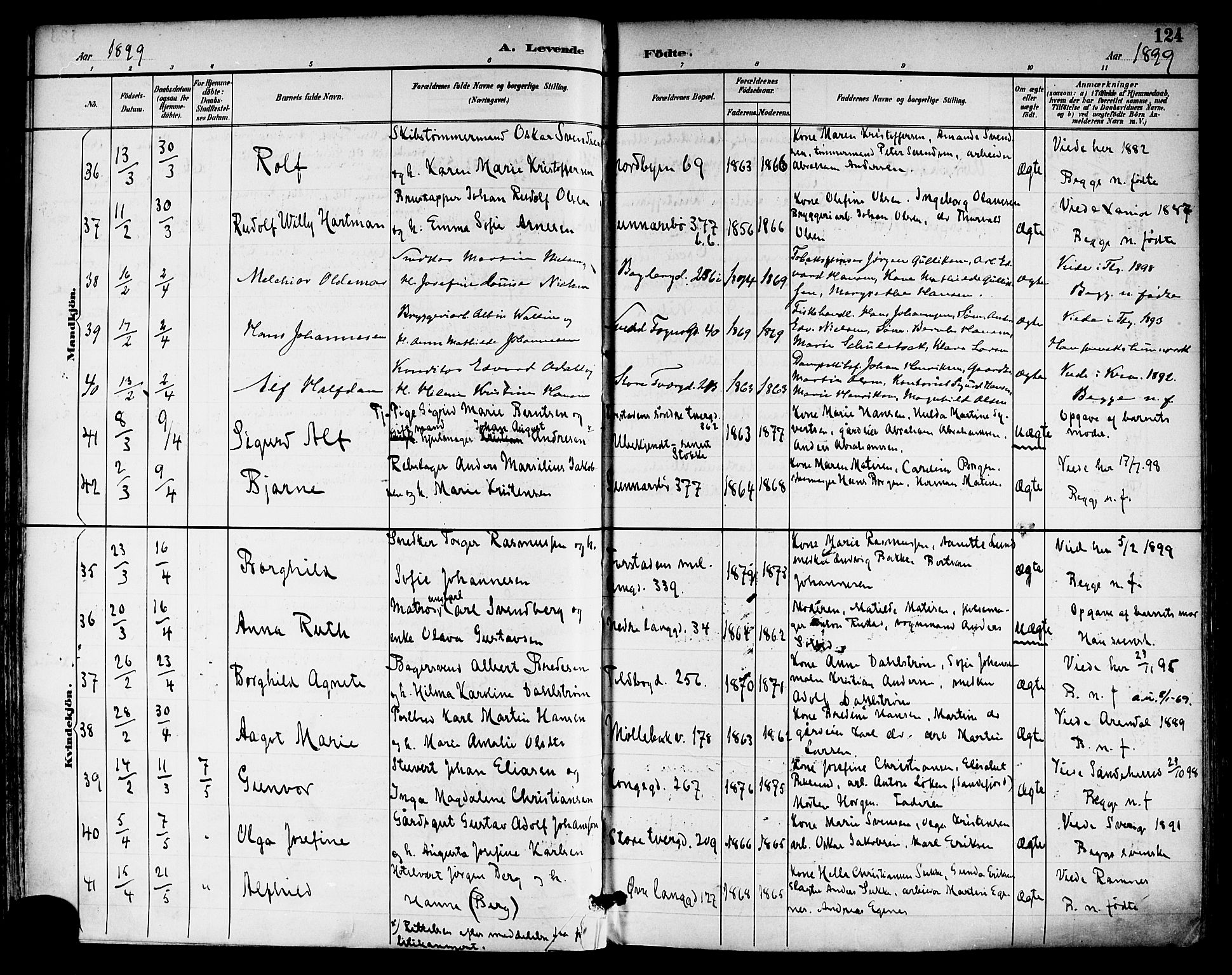 Tønsberg kirkebøker, AV/SAKO-A-330/F/Fa/L0012: Parish register (official) no. I 12, 1891-1899, p. 124