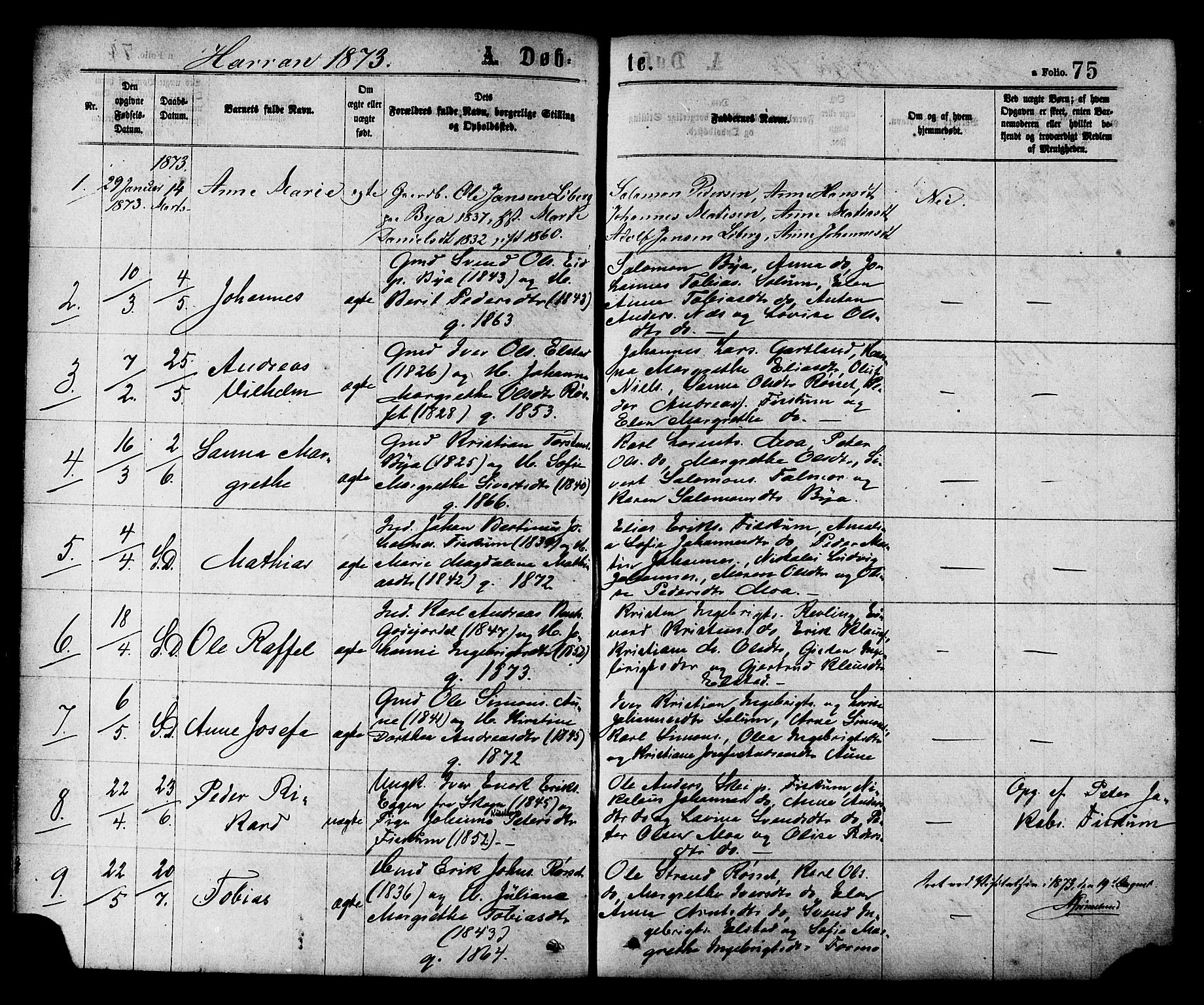 Ministerialprotokoller, klokkerbøker og fødselsregistre - Nord-Trøndelag, SAT/A-1458/758/L0516: Parish register (official) no. 758A03 /3, 1869-1879, p. 75