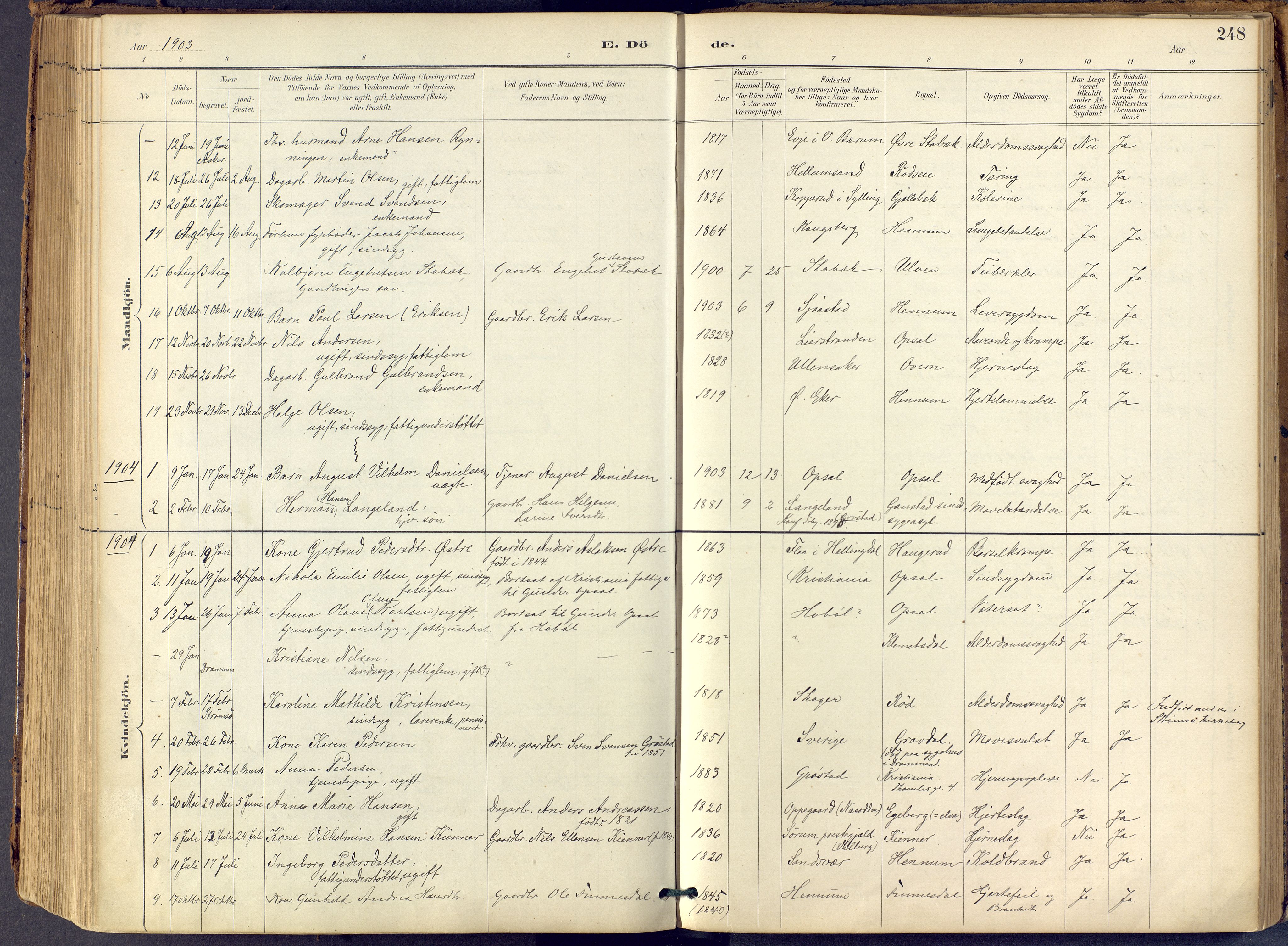 Lier kirkebøker, AV/SAKO-A-230/F/Fb/L0001: Parish register (official) no. II 1, 1883-1910, p. 248