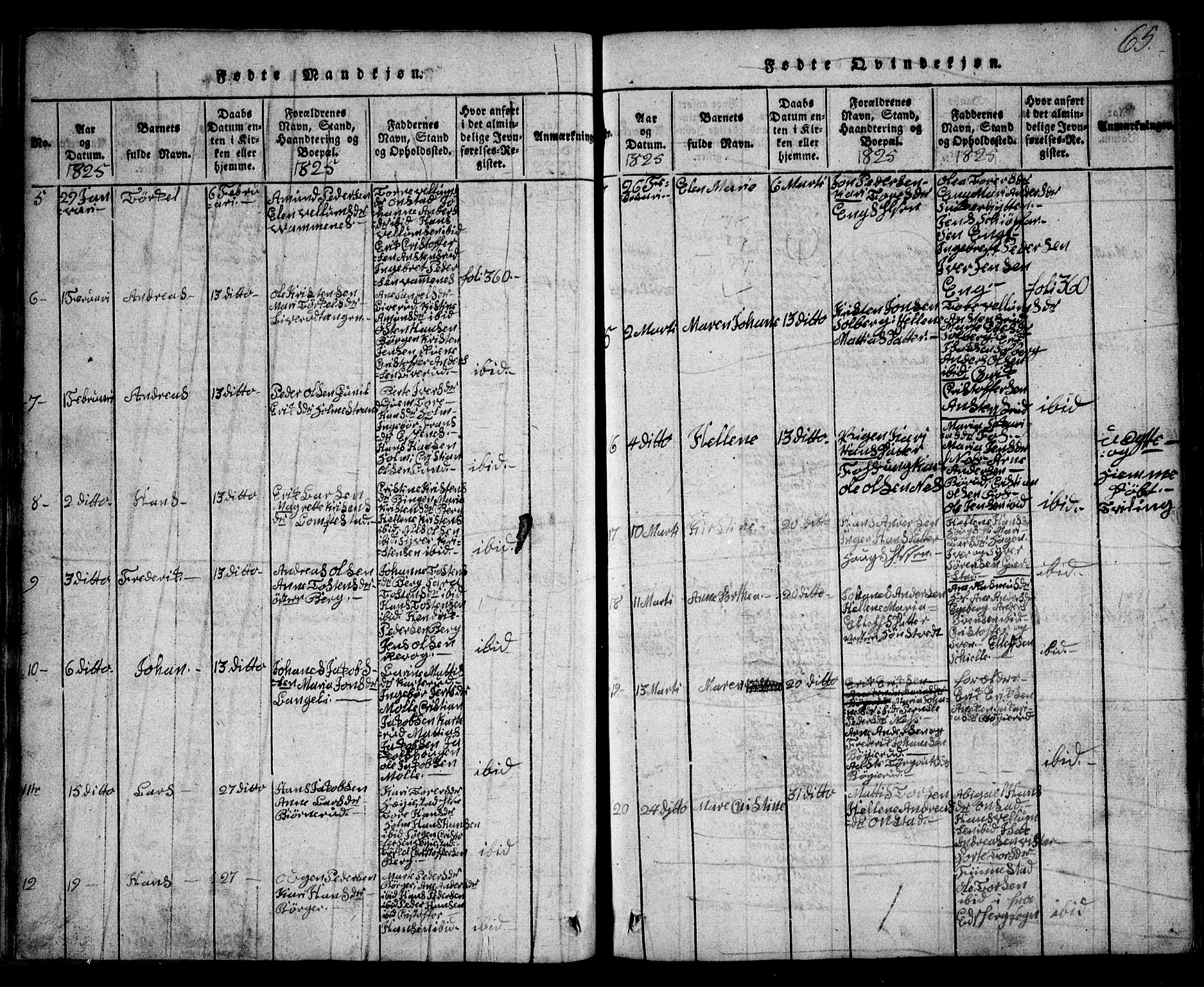 Skiptvet prestekontor Kirkebøker, AV/SAO-A-20009/G/Ga/L0001: Parish register (copy) no. 1, 1815-1838, p. 65