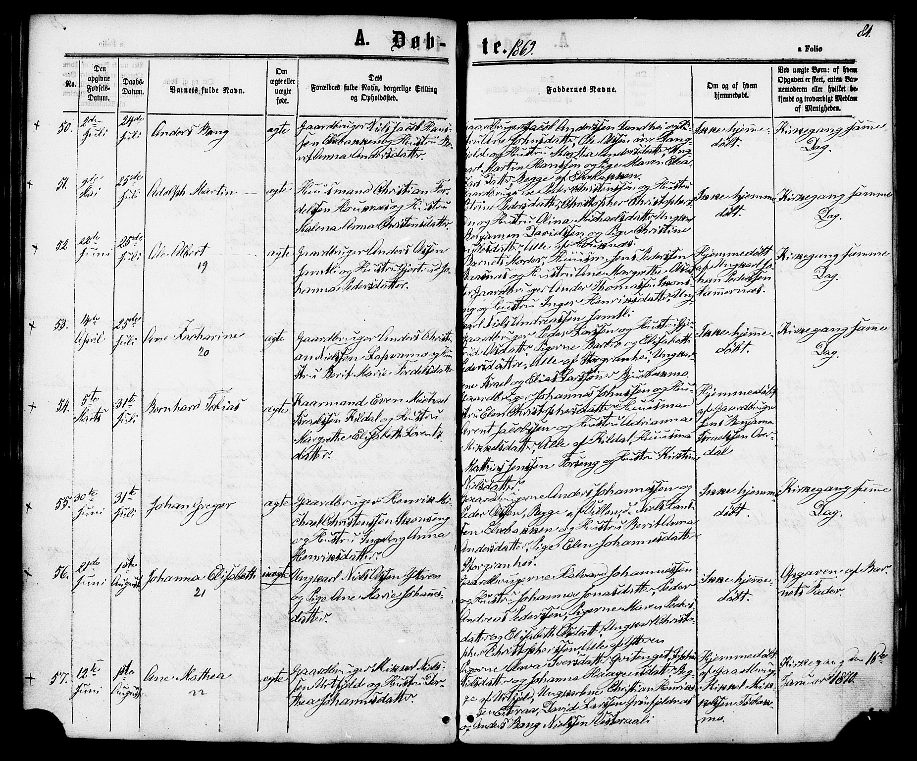 Ministerialprotokoller, klokkerbøker og fødselsregistre - Nordland, AV/SAT-A-1459/827/L0393: Parish register (official) no. 827A05, 1863-1883, p. 84