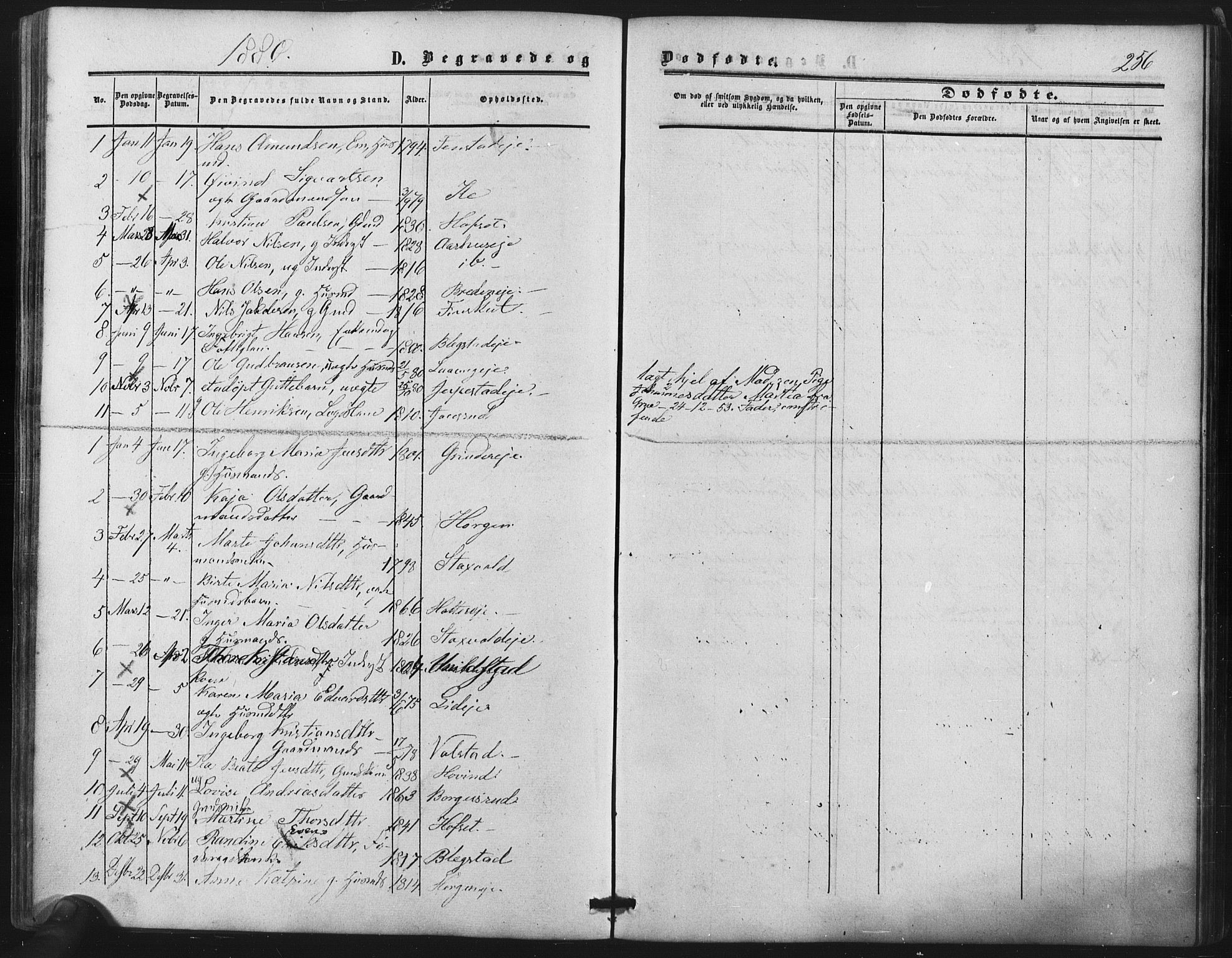 Nes prestekontor Kirkebøker, SAO/A-10410/F/Fb/L0001: Parish register (official) no. II 1, 1859-1882, p. 256