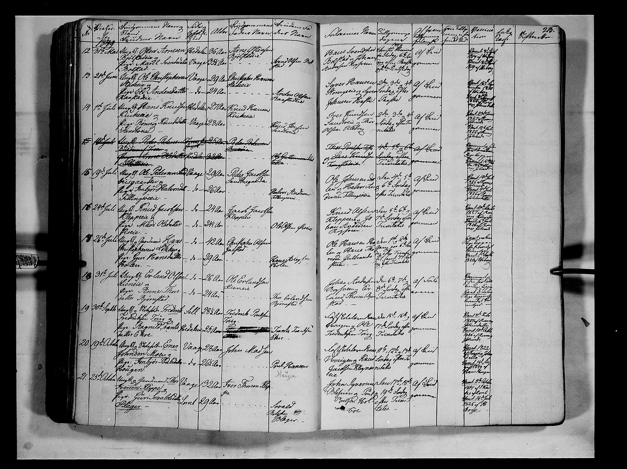 Vågå prestekontor, SAH/PREST-076/H/Ha/Haa/L0005: Parish register (official) no. 5 /1, 1842-1856, p. 215