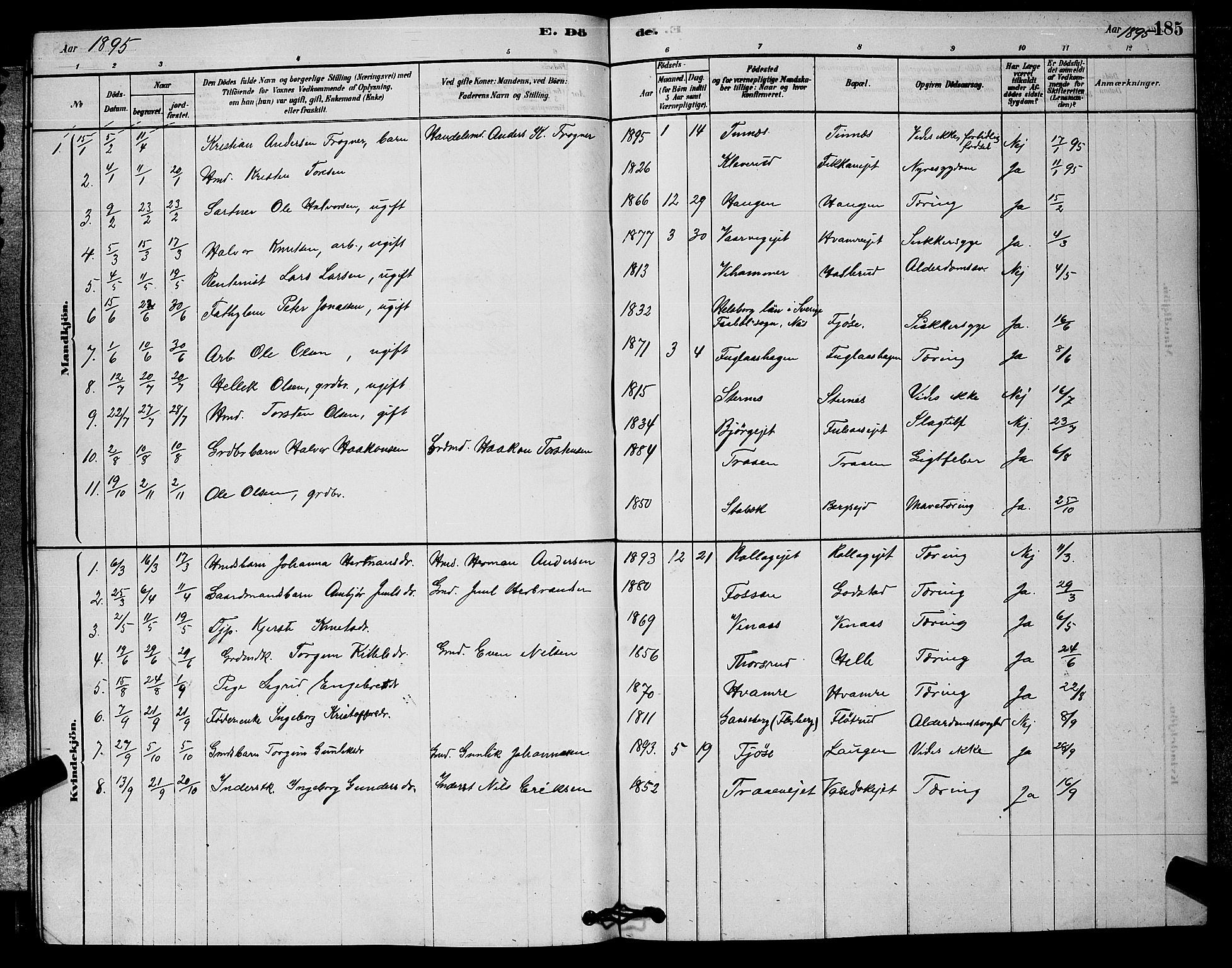 Rollag kirkebøker, SAKO/A-240/G/Ga/L0004: Parish register (copy) no. I 4, 1878-1903, p. 185