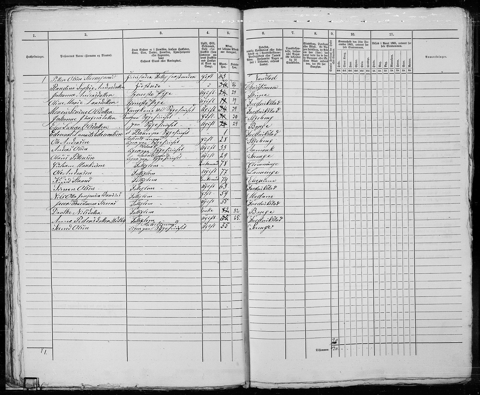 RA, 1865 census for Fredrikstad/Fredrikstad, 1865, p. 43