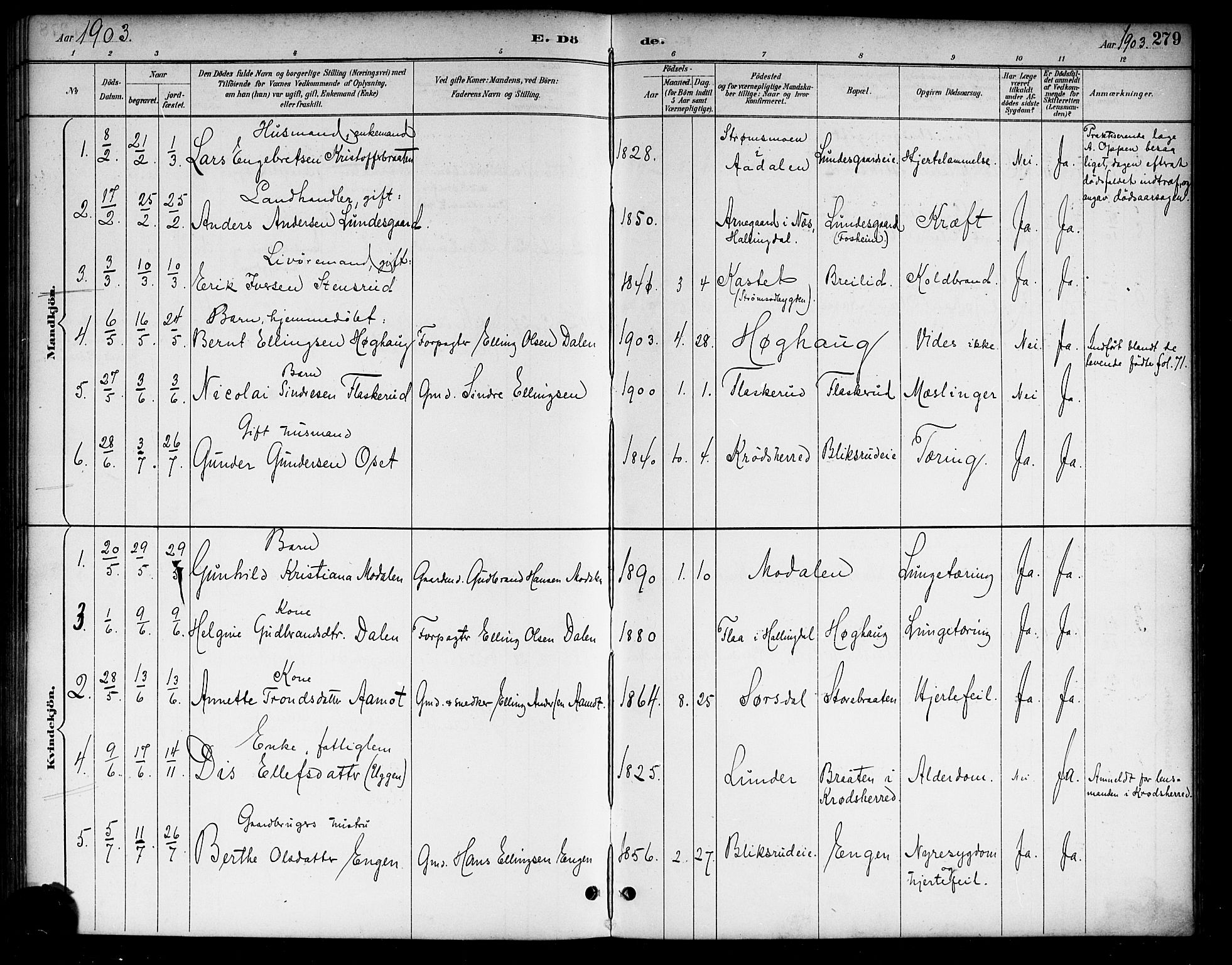 Lunder kirkebøker, AV/SAKO-A-629/G/Ga/L0004: Parish register (copy) no. I 4, 1889-1917, p. 279