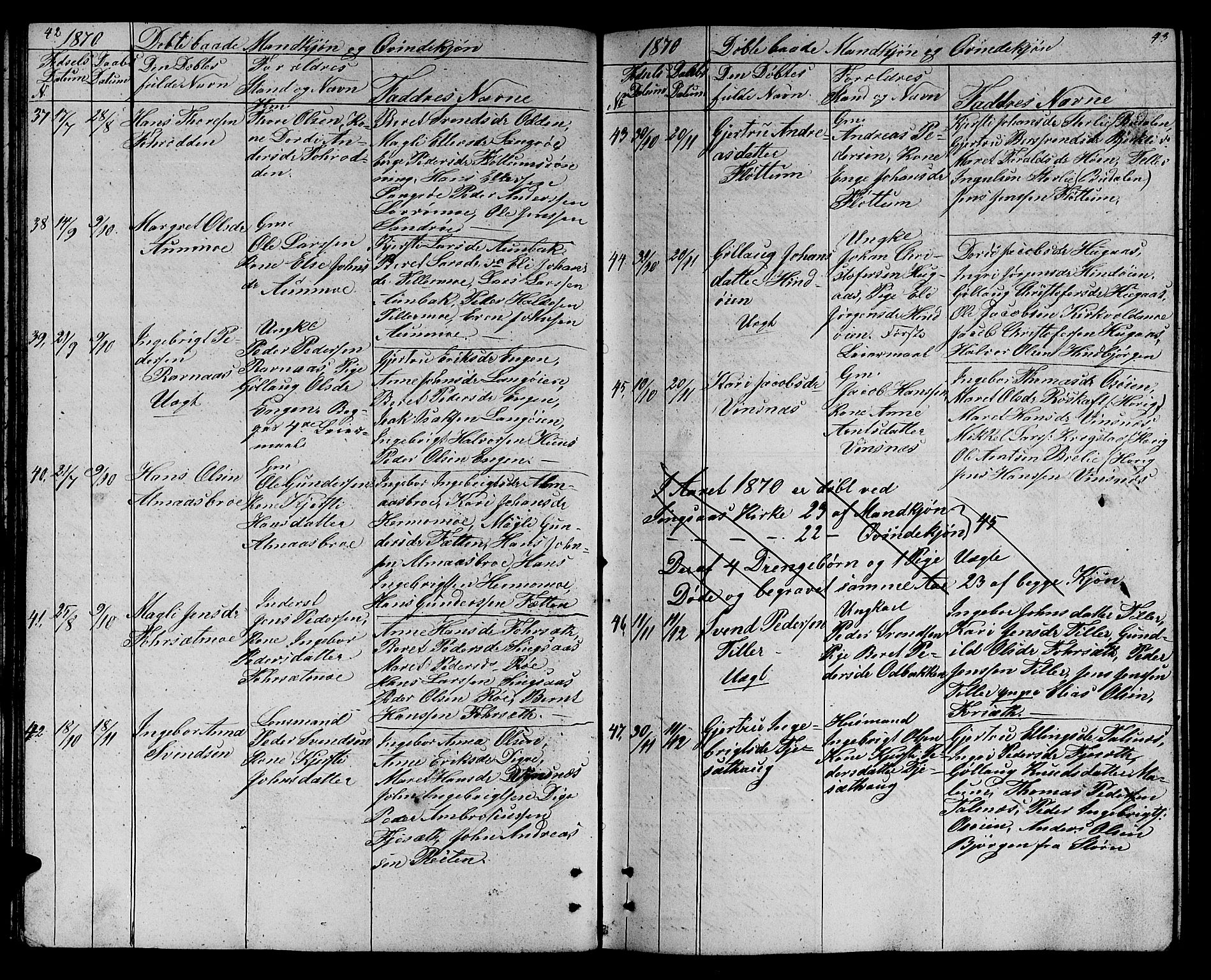 Ministerialprotokoller, klokkerbøker og fødselsregistre - Sør-Trøndelag, SAT/A-1456/688/L1027: Parish register (copy) no. 688C02, 1861-1889, p. 42-43