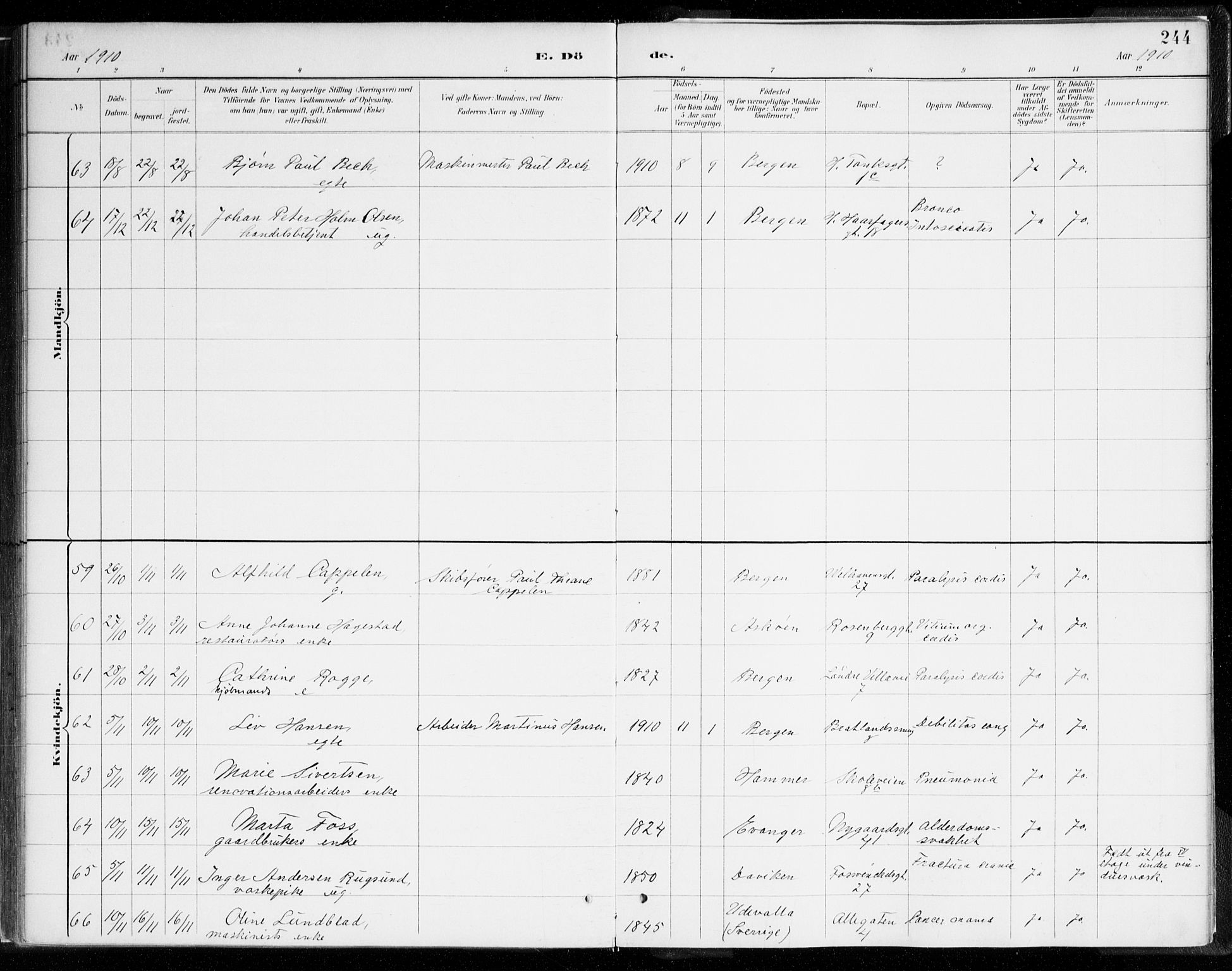 Johanneskirken sokneprestembete, AV/SAB-A-76001/H/Haa/L0019: Parish register (official) no. E 1, 1885-1915, p. 244