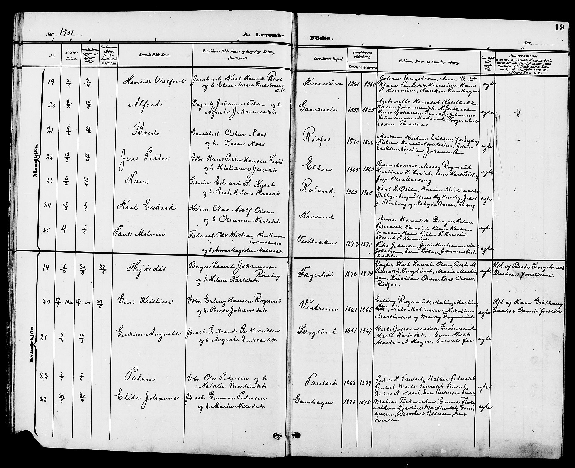 Vestre Toten prestekontor, AV/SAH-PREST-108/H/Ha/Hab/L0010: Parish register (copy) no. 10, 1900-1912, p. 19