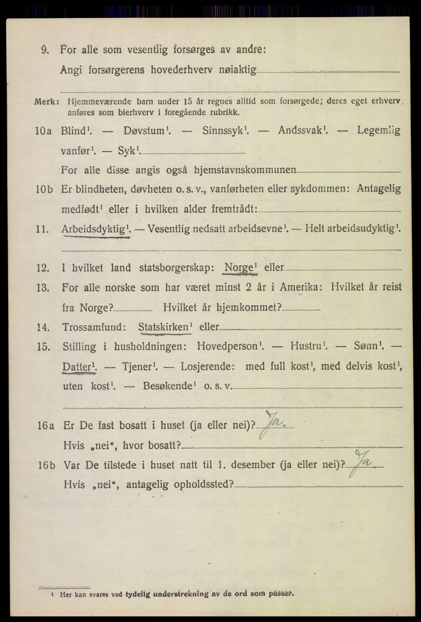 SAH, 1920 census for Lom, 1920, p. 4243