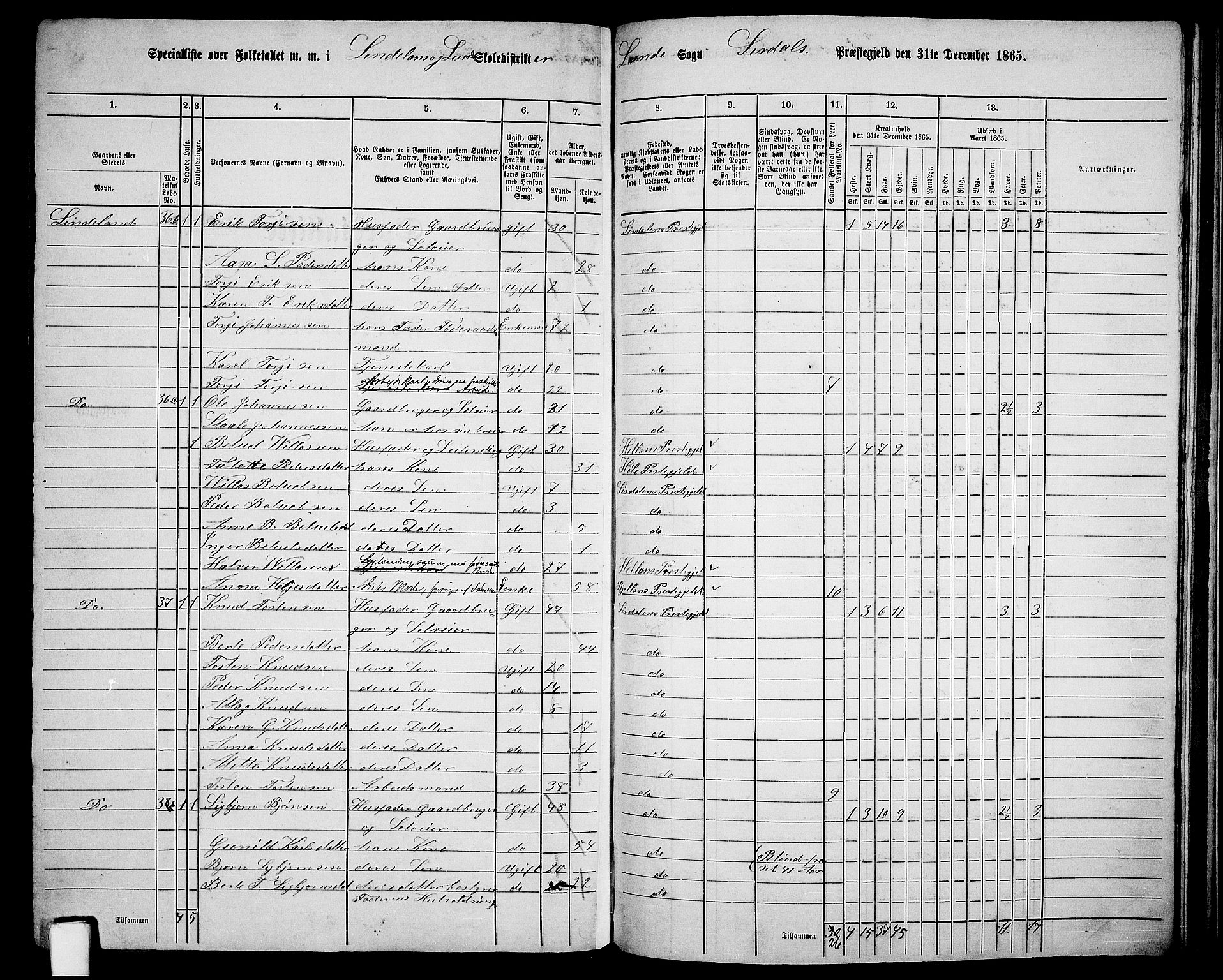 RA, 1865 census for Sirdal, 1865, p. 57