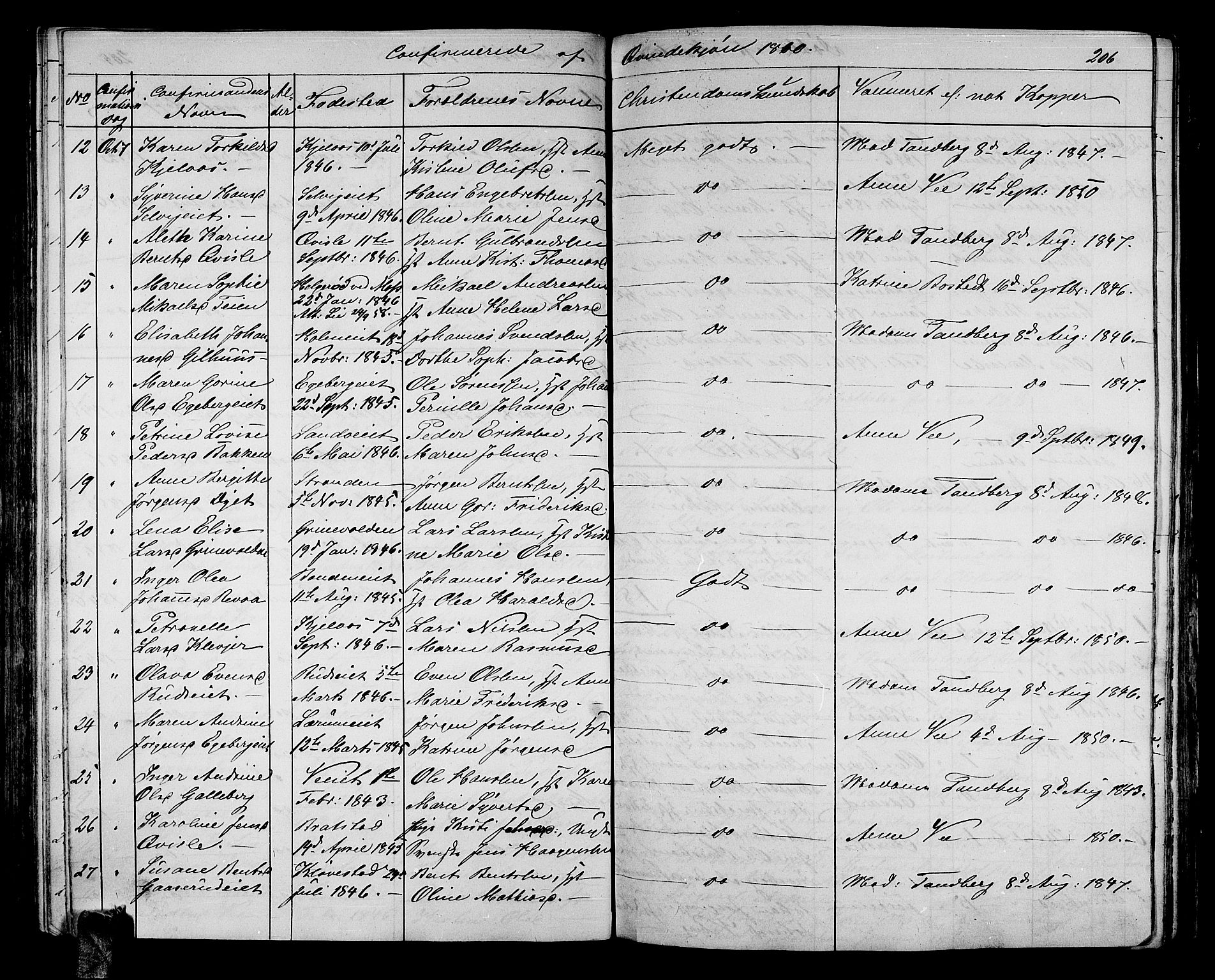 Sande Kirkebøker, AV/SAKO-A-53/G/Ga/L0002: Parish register (copy) no. 2, 1847-1863, p. 206