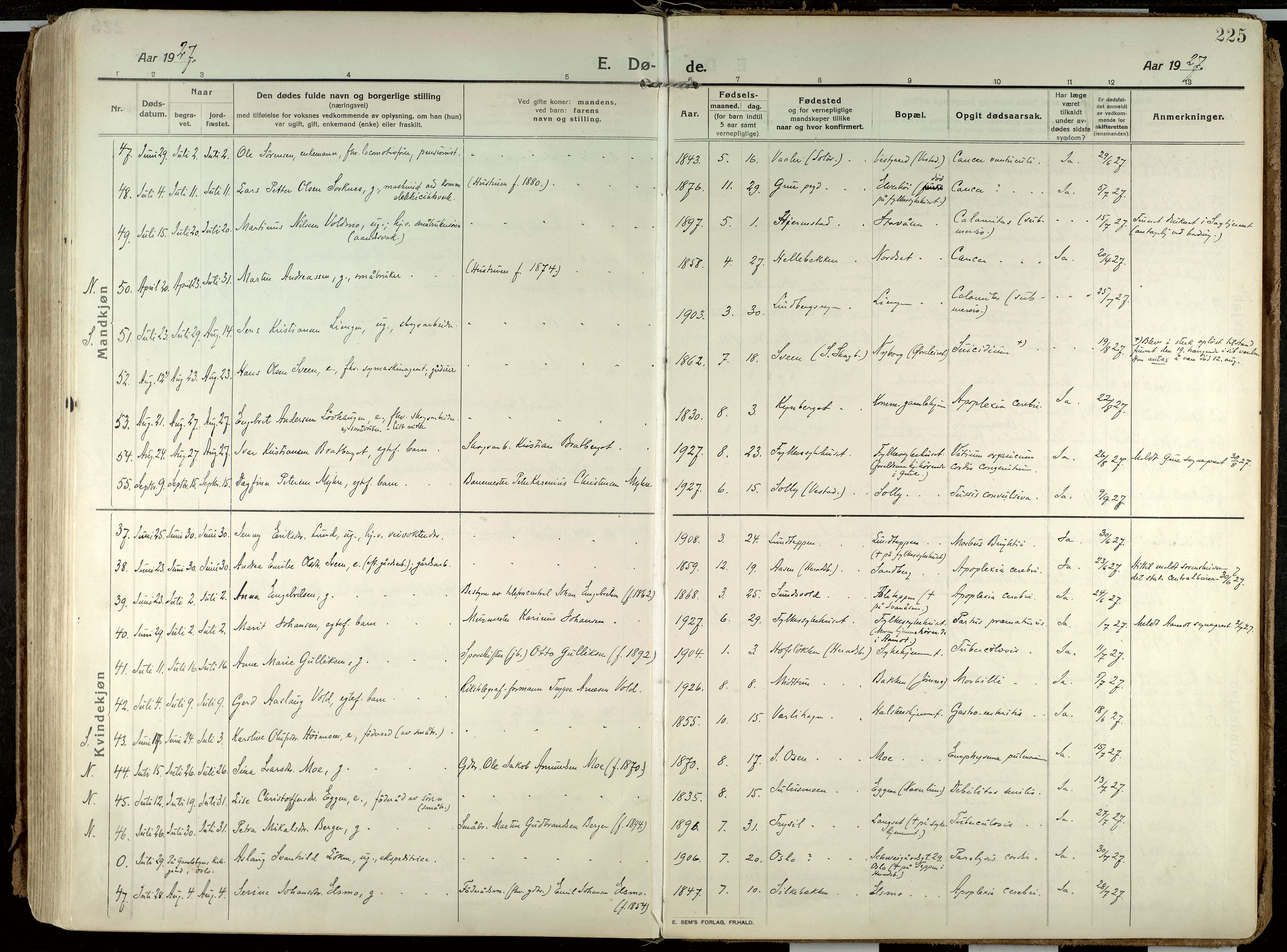 Elverum prestekontor, AV/SAH-PREST-044/H/Ha/Haa/L0021: Parish register (official) no. 21, 1913-1928, p. 225