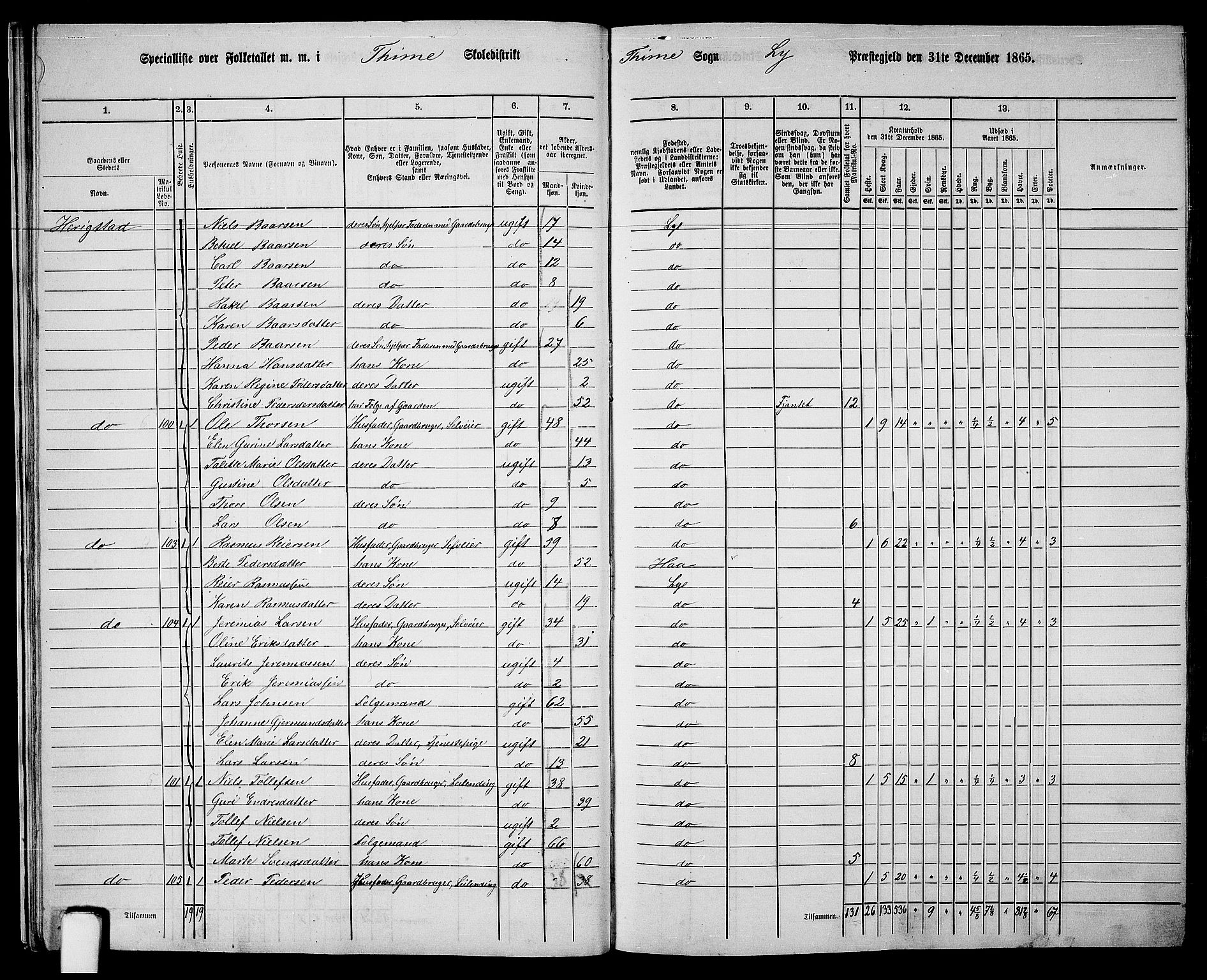 RA, 1865 census for Lye, 1865, p. 18
