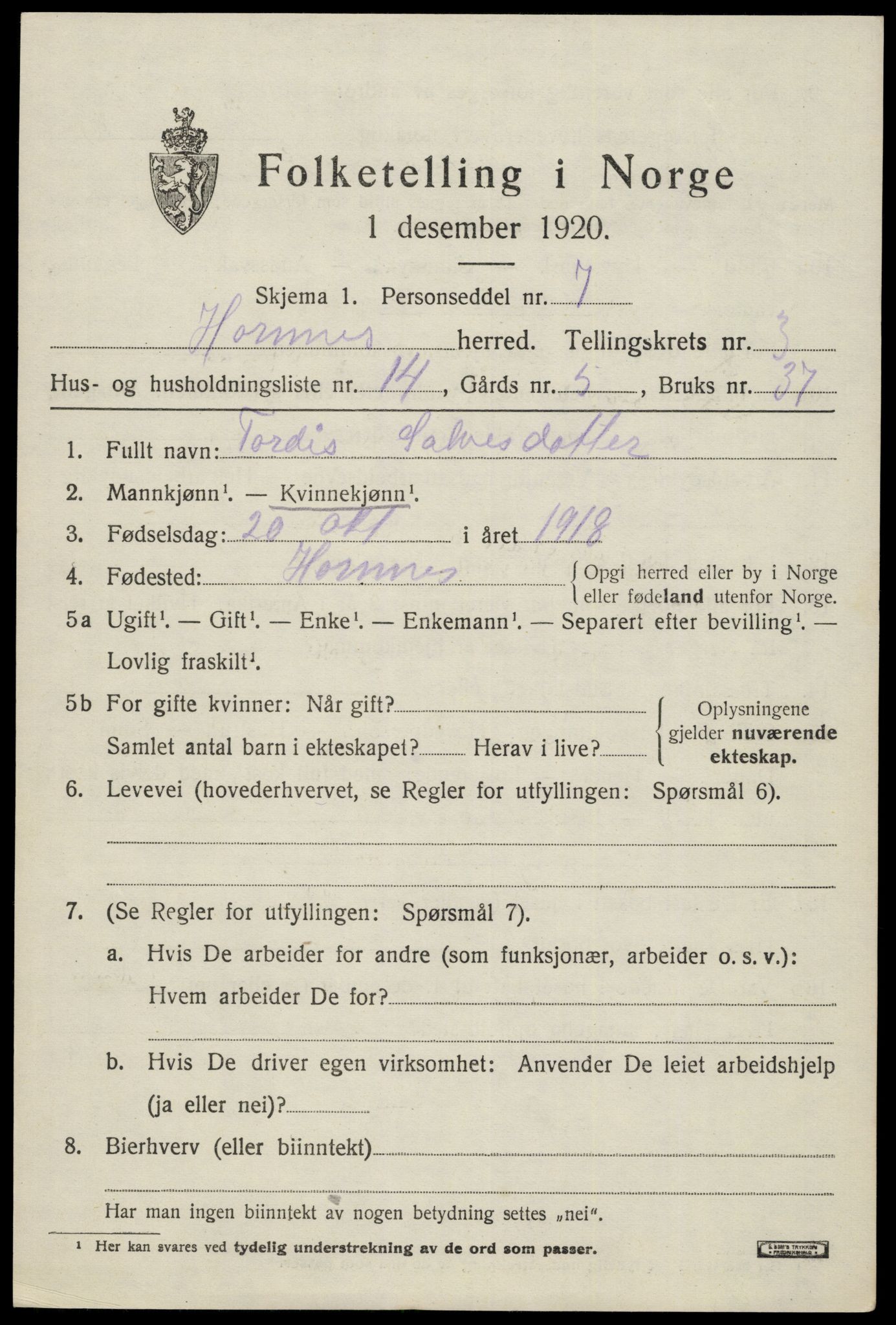 SAK, 1920 census for Hornnes, 1920, p. 975