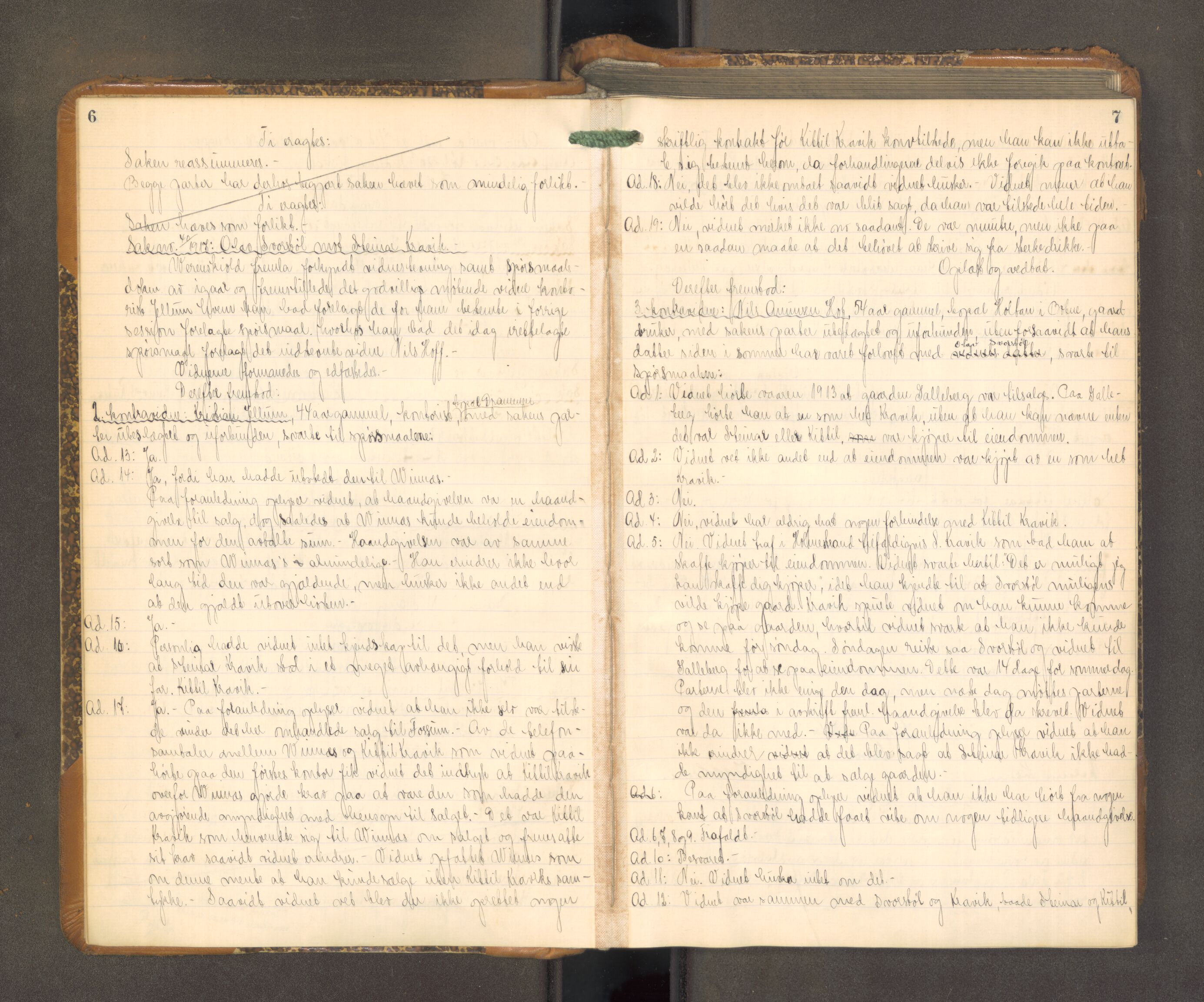 Nordre Jarlsberg sorenskriveri, AV/SAKO-A-80/F/Fa/Faa/L0056: Tingbok, 1917-1921, p. 6-7