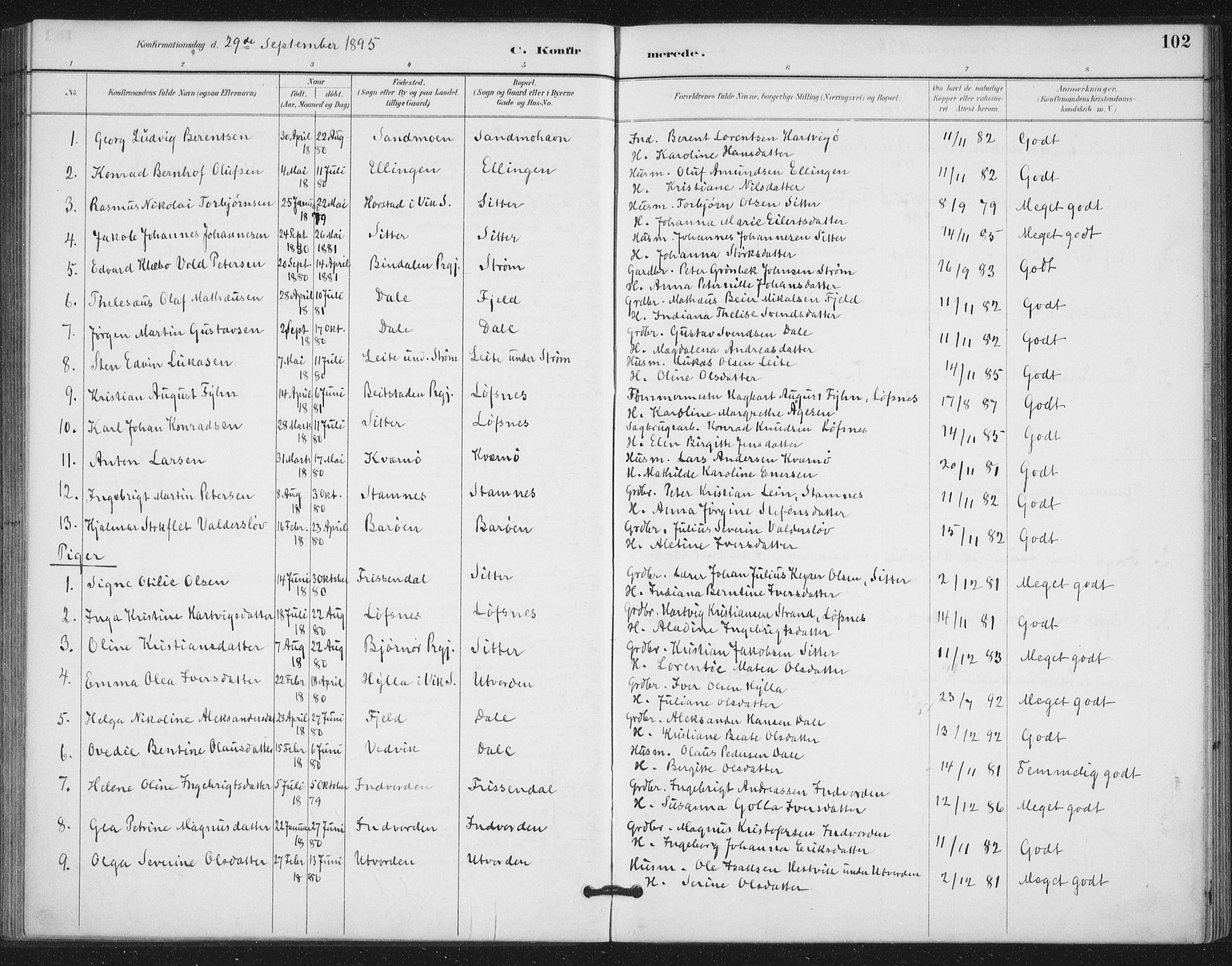 Ministerialprotokoller, klokkerbøker og fødselsregistre - Nord-Trøndelag, SAT/A-1458/772/L0603: Parish register (official) no. 772A01, 1885-1912, p. 102