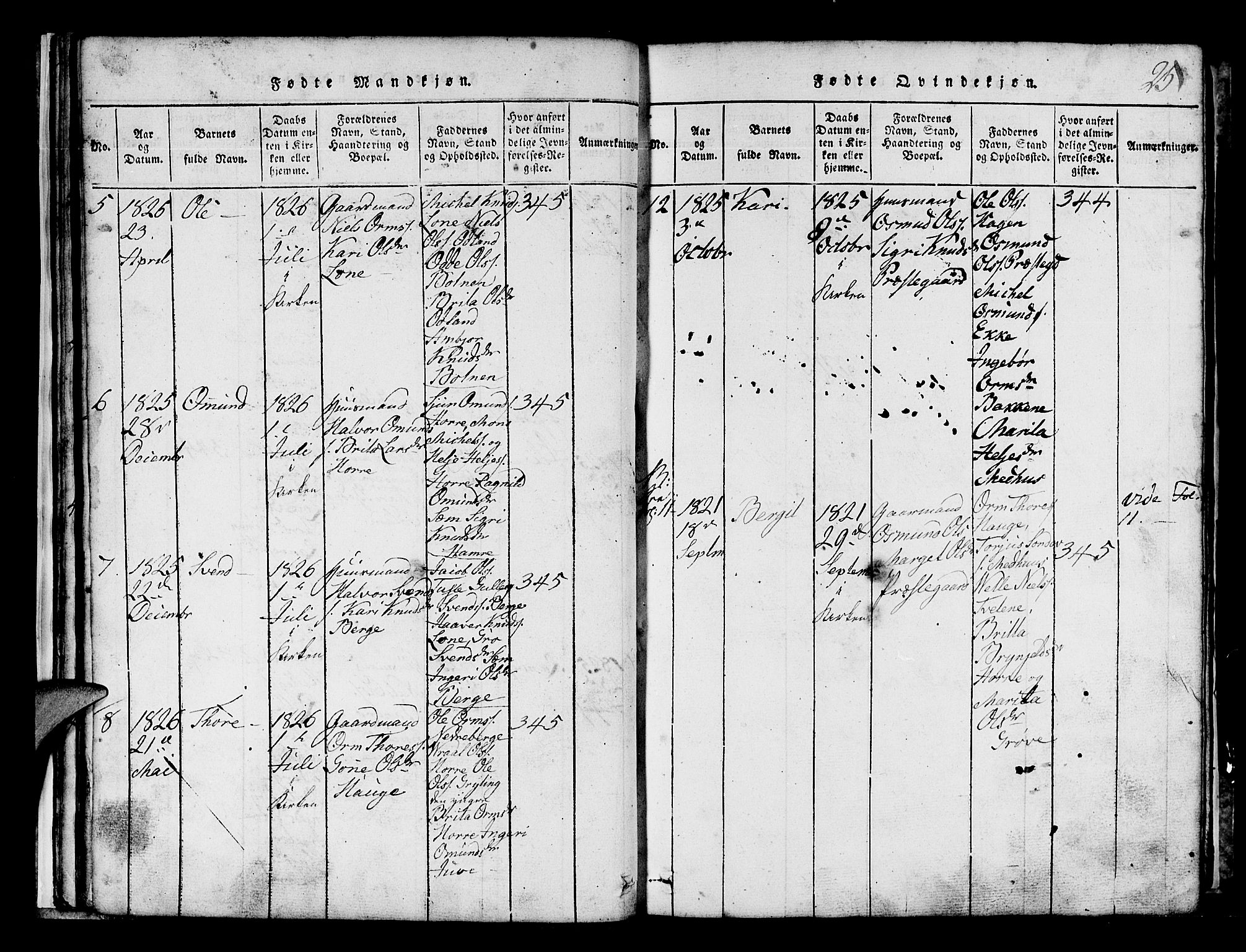 Røldal sokneprestembete, SAB/A-100247: Parish register (copy) no. A 1, 1817-1860, p. 25