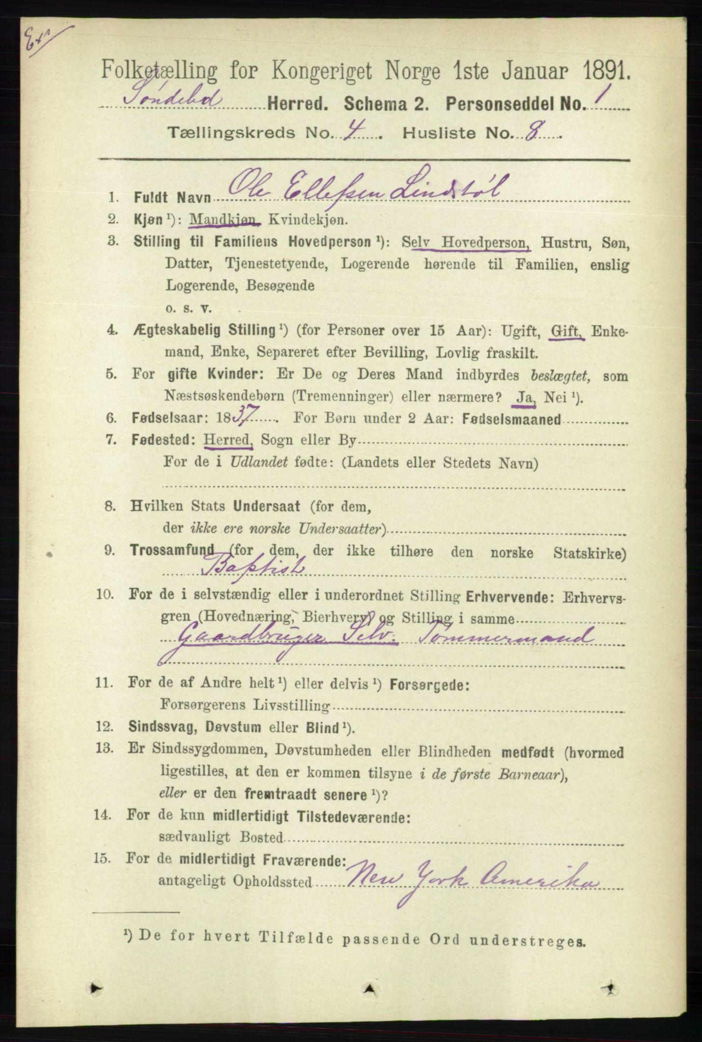 RA, Census 1891 for Nedenes amt: Gjenparter av personsedler for beslektede ektefeller, menn, 1891, p. 114