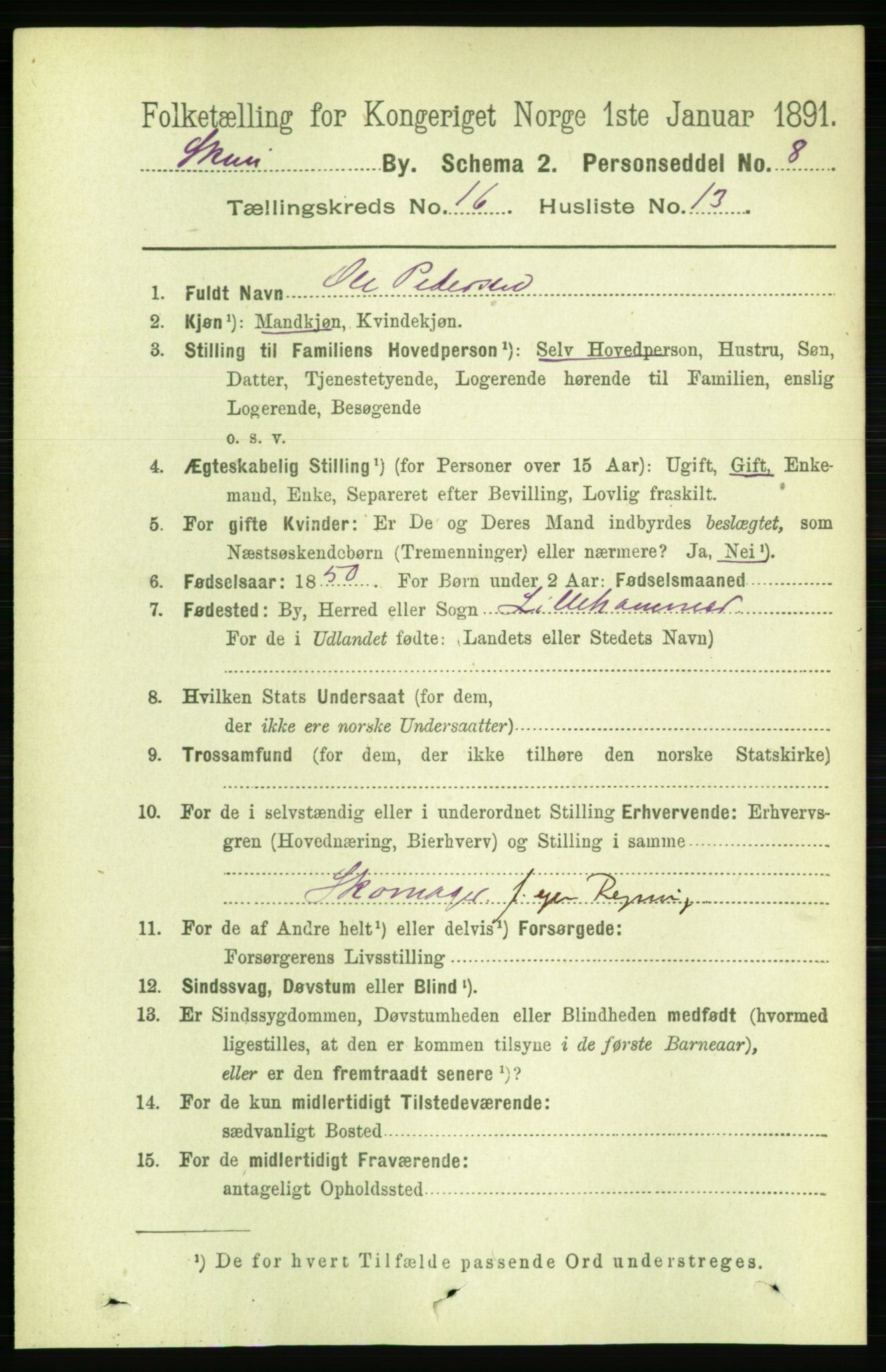 RA, 1891 census for 0806 Skien, 1891, p. 4652