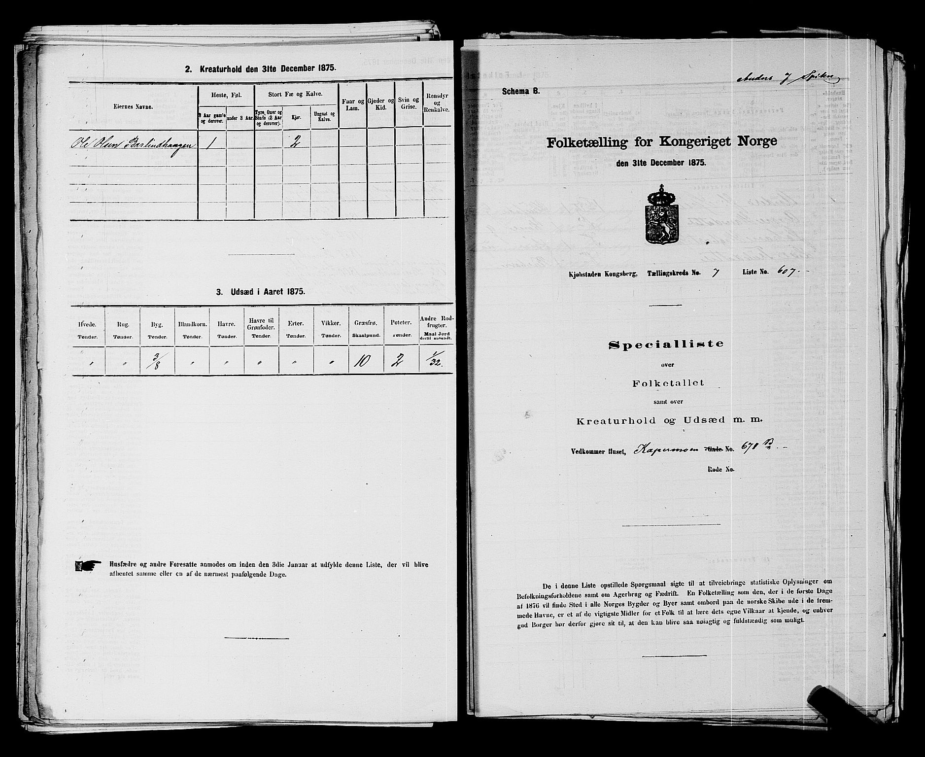 SAKO, 1875 census for 0604B Kongsberg/Kongsberg, 1875, p. 1338