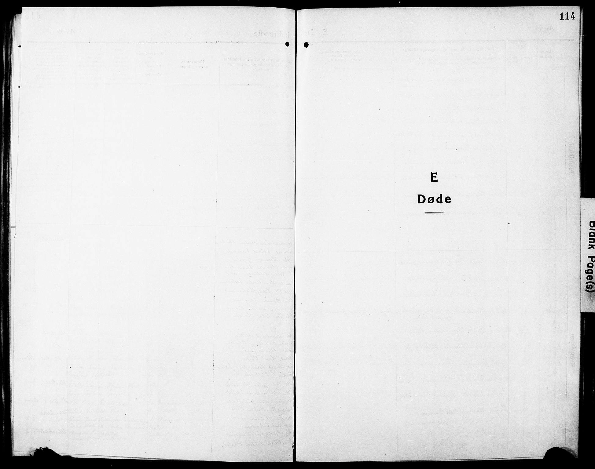 Nannestad prestekontor Kirkebøker, SAO/A-10414a/G/Ga/L0003: Parish register (copy) no. I 3, 1914-1929, p. 114