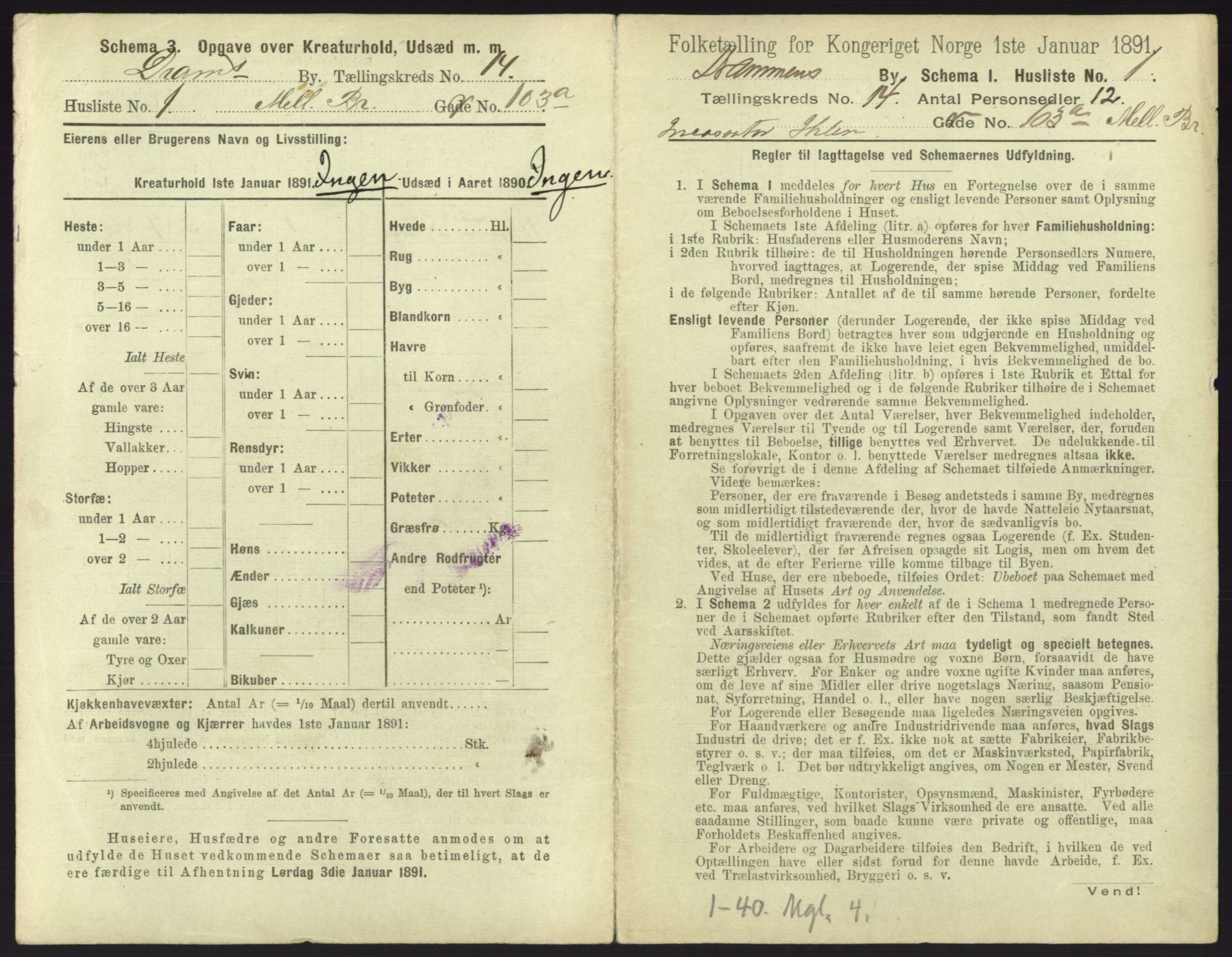 RA, 1891 census for 0602 Drammen, 1891, p. 1153