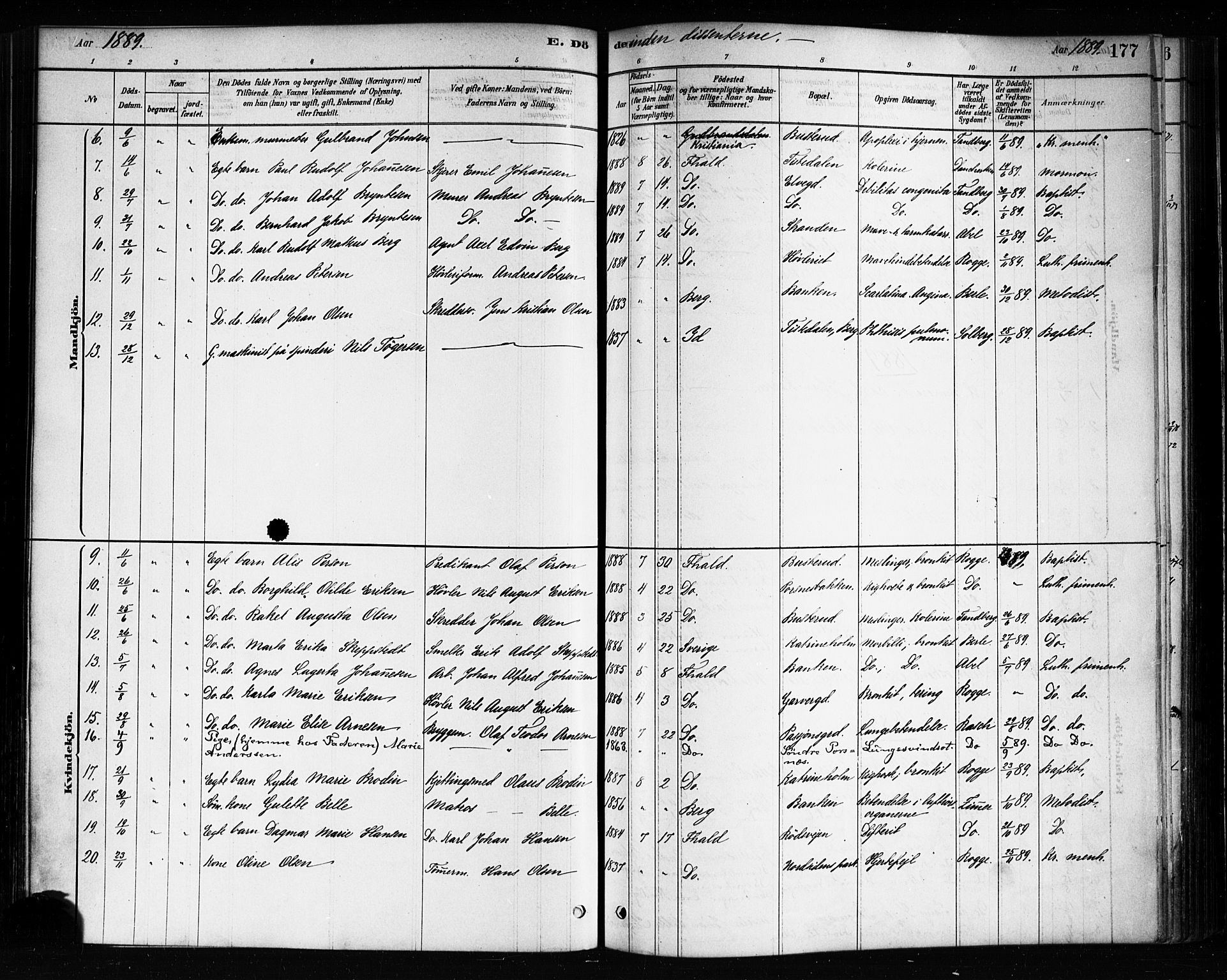 Halden prestekontor Kirkebøker, SAO/A-10909/F/Fa/L0012: Parish register (official) no. I 12, 1878-1889, p. 177