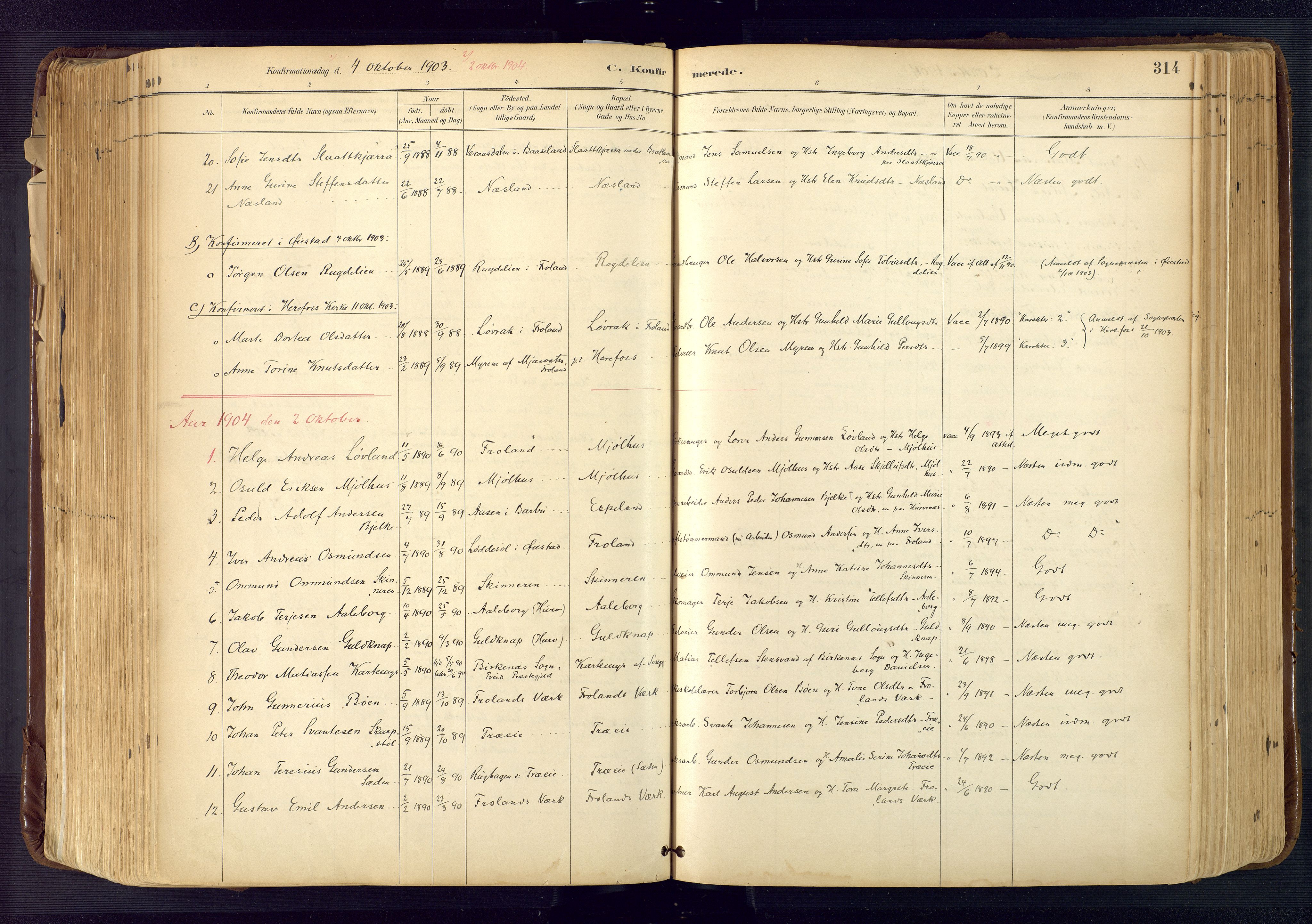 Froland sokneprestkontor, SAK/1111-0013/F/Fa/L0005: Parish register (official) no. A 5, 1882-1921, p. 314