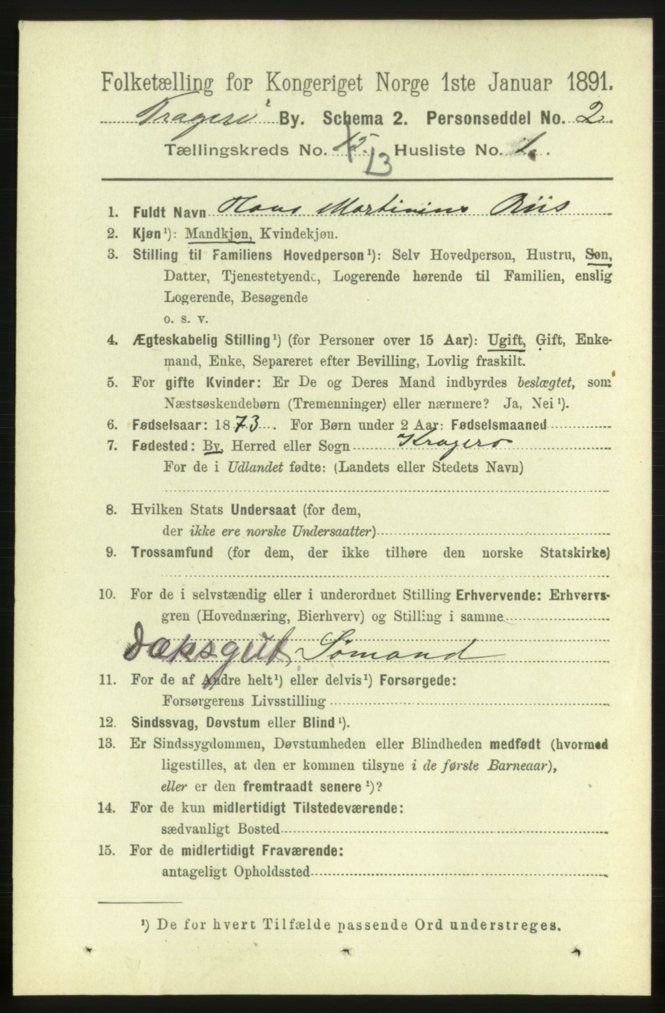 RA, 1891 census for 0801 Kragerø, 1891, p. 3976