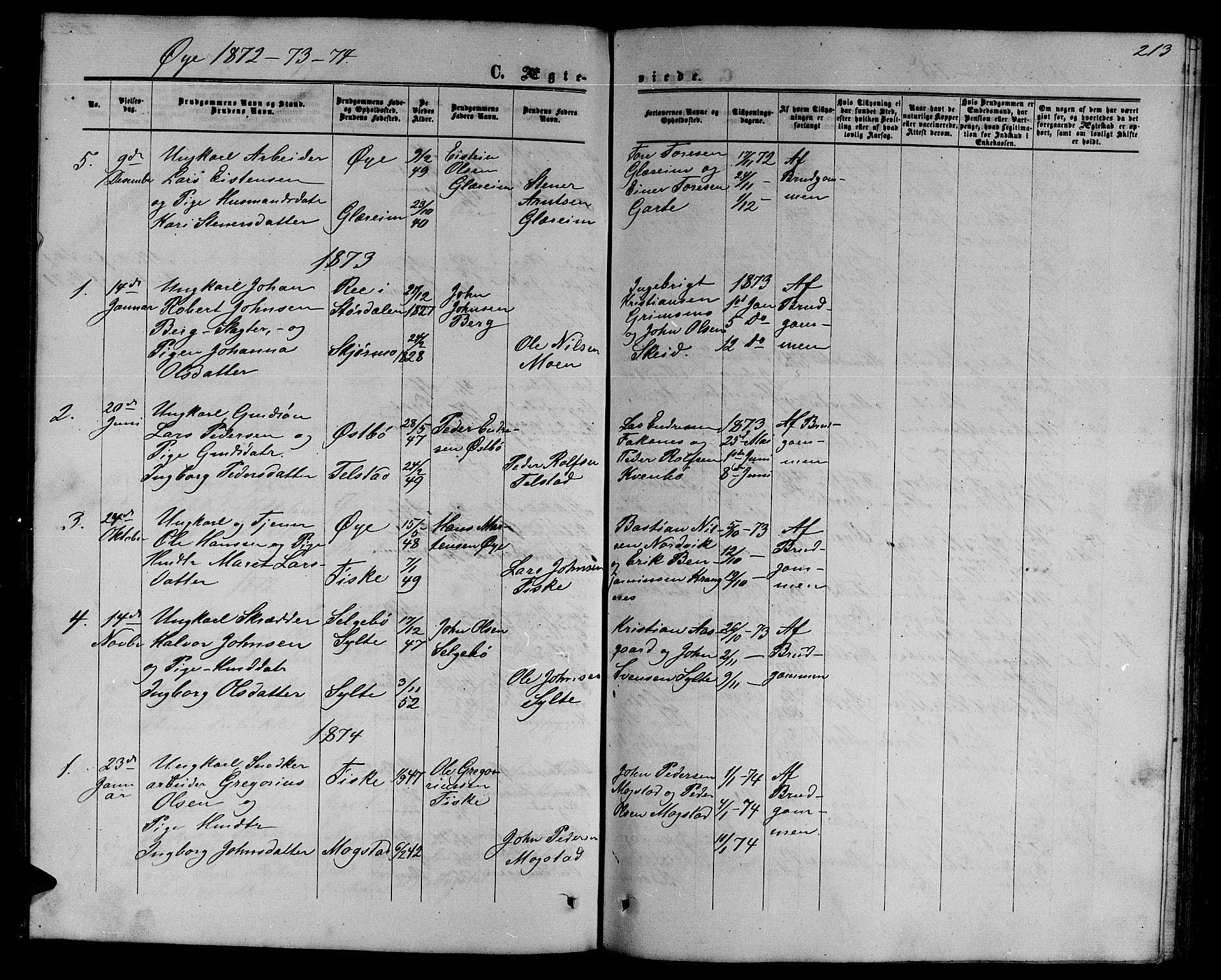 Ministerialprotokoller, klokkerbøker og fødselsregistre - Møre og Romsdal, SAT/A-1454/595/L1051: Parish register (copy) no. 595C03, 1866-1891, p. 213