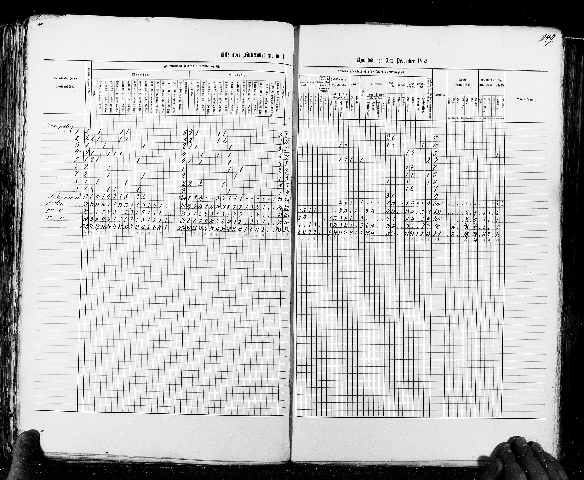 RA, Census 1855, vol. 8: Risør-Vadsø, 1855, p. 149