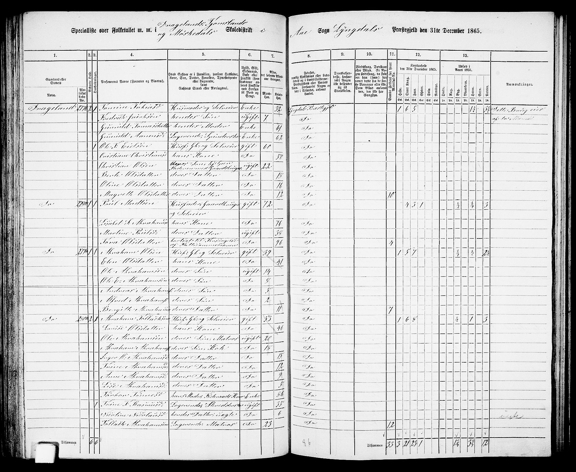 RA, 1865 census for Lyngdal, 1865, p. 132