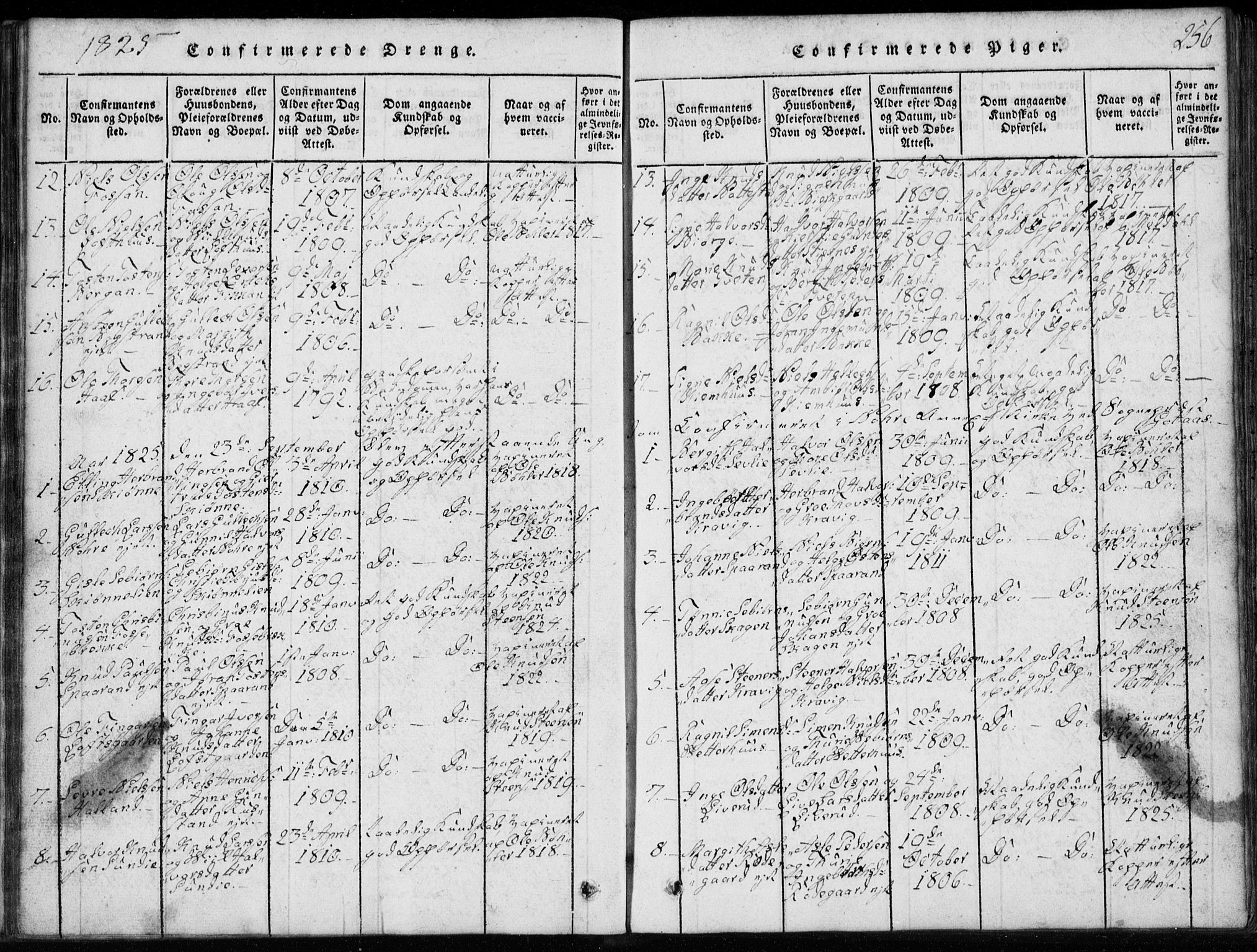 Rollag kirkebøker, SAKO/A-240/G/Ga/L0001: Parish register (copy) no. I 1, 1814-1831, p. 256