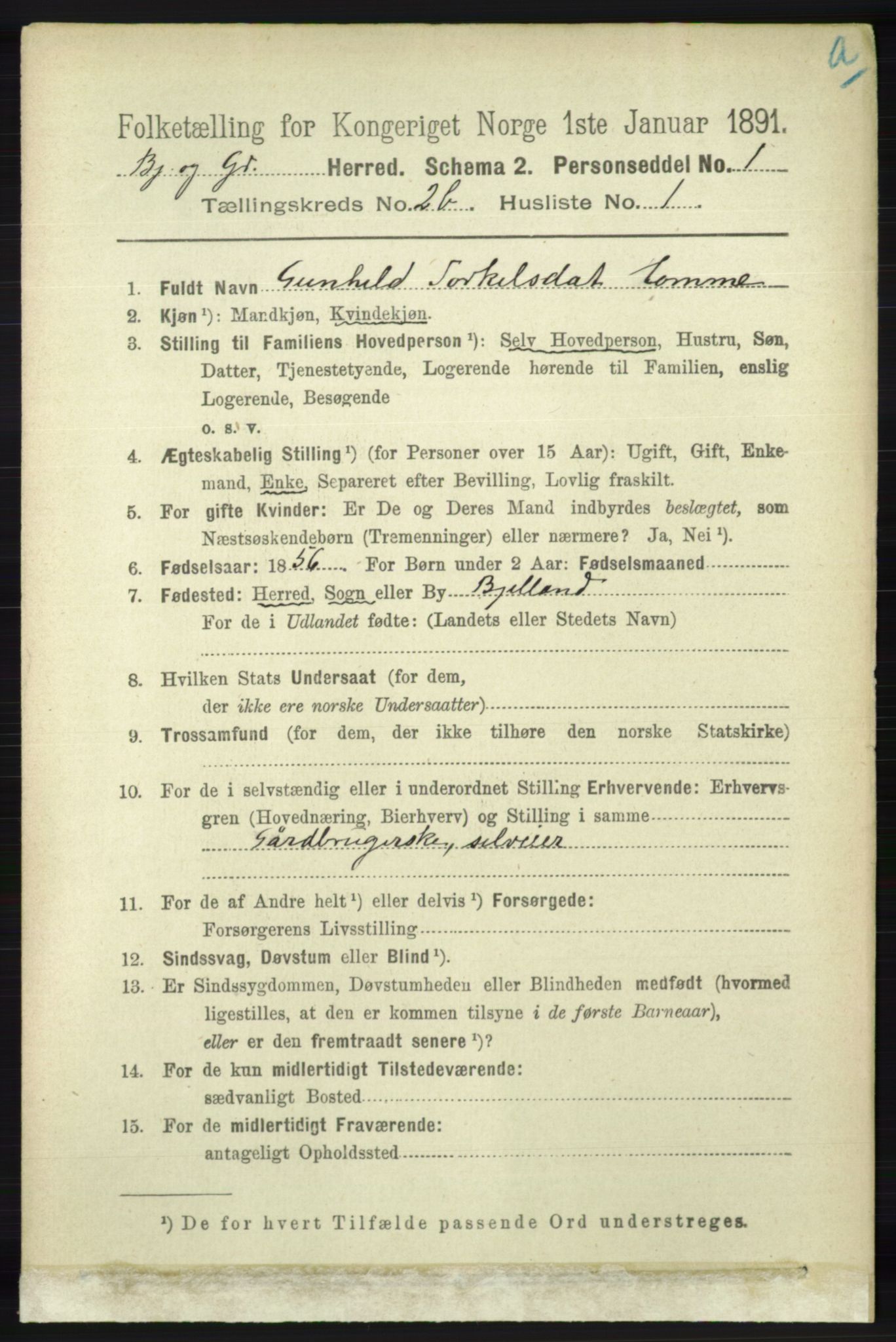 RA, 1891 census for 1024 Bjelland og Grindheim, 1891, p. 1129