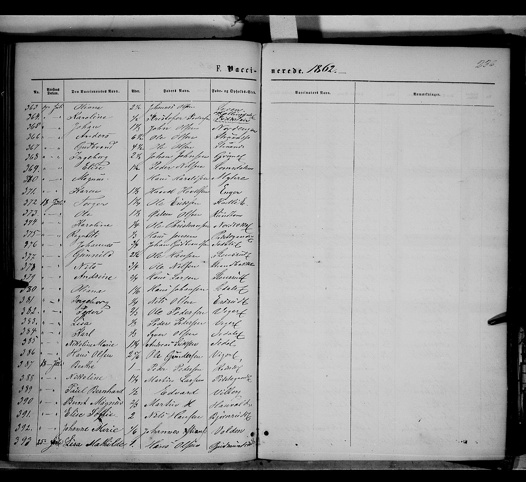 Søndre Land prestekontor, AV/SAH-PREST-122/K/L0001: Parish register (official) no. 1, 1860-1877, p. 236