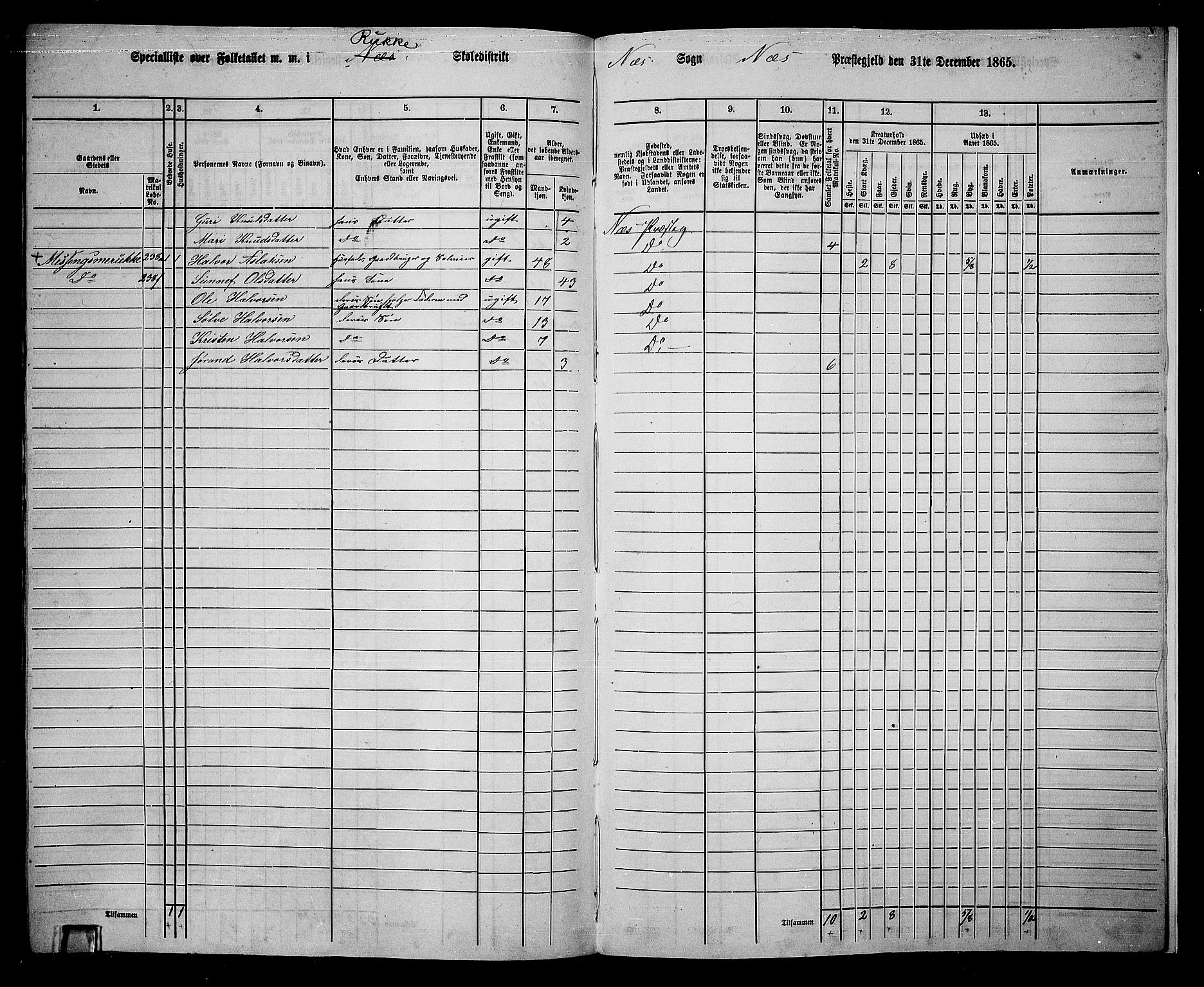 RA, 1865 census for Nes, 1865, p. 193