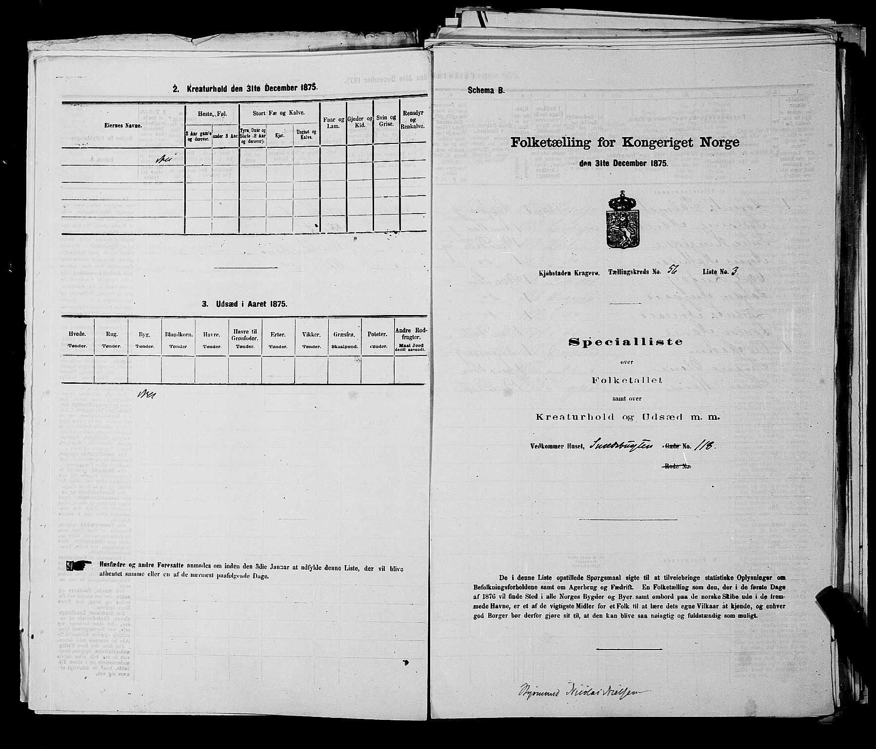 SAKO, 1875 census for 0801P Kragerø, 1875, p. 1241