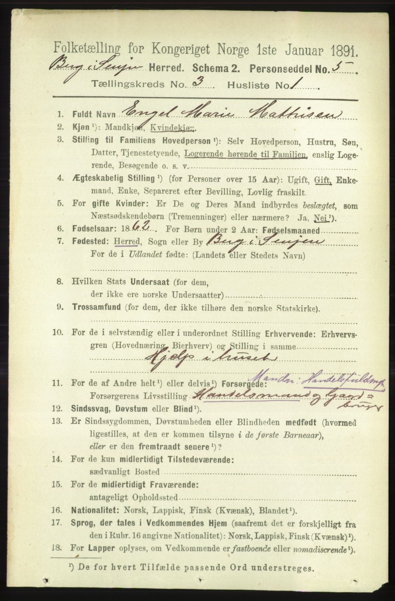 RA, 1891 census for 1929 Berg, 1891, p. 1025