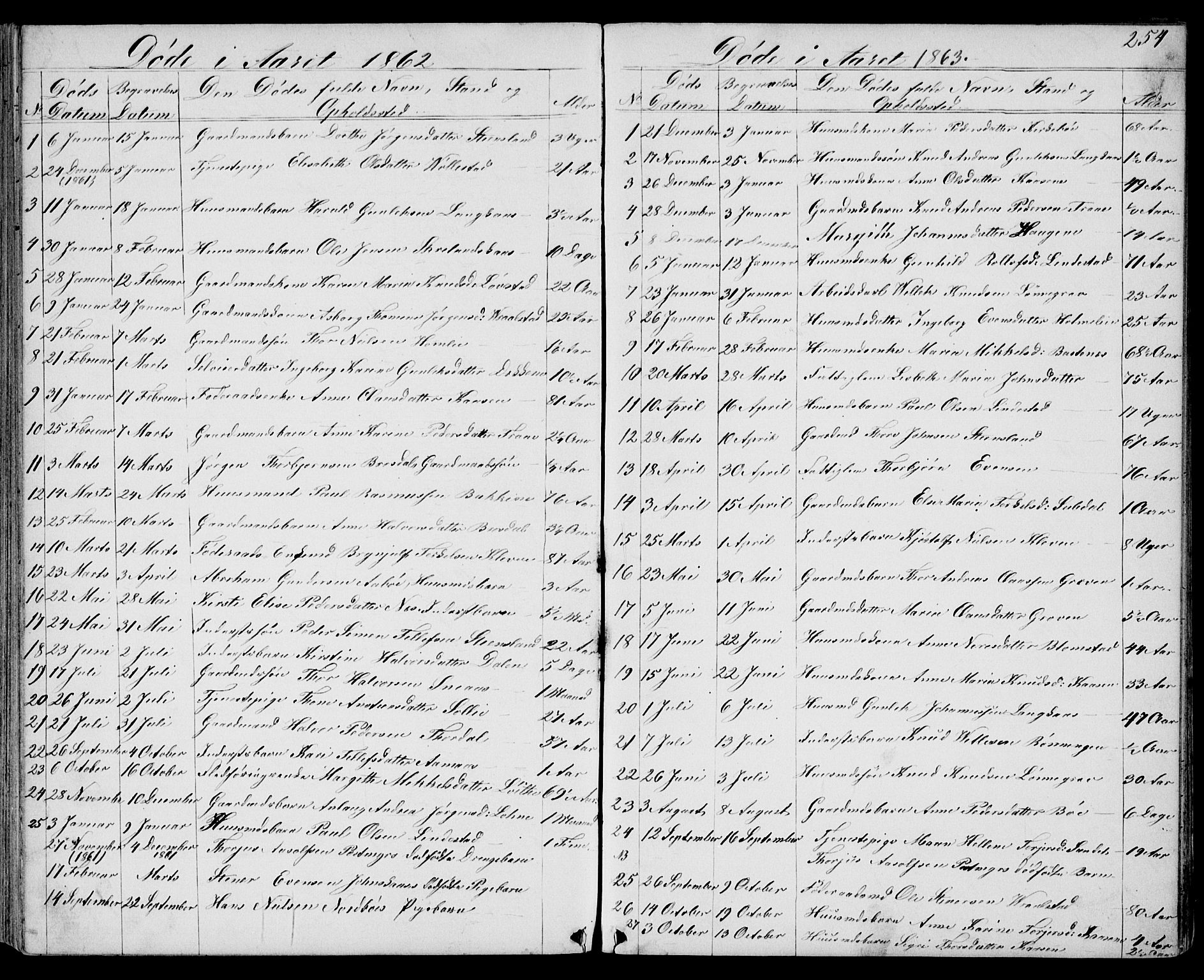 Drangedal kirkebøker, SAKO/A-258/G/Gb/L0001: Parish register (copy) no. II 1, 1856-1894, p. 254