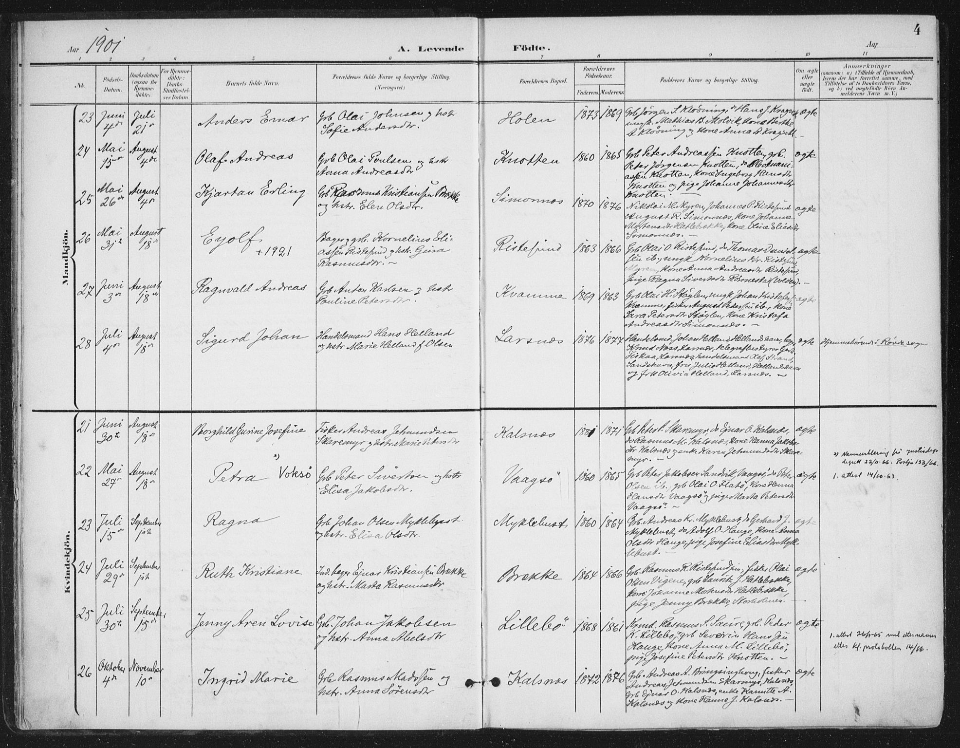 Ministerialprotokoller, klokkerbøker og fødselsregistre - Møre og Romsdal, AV/SAT-A-1454/503/L0038: Parish register (official) no. 503A06, 1901-1917, p. 4