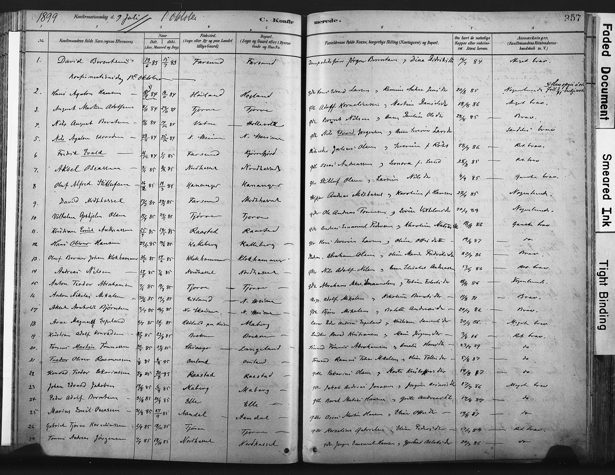 Lista sokneprestkontor, AV/SAK-1111-0027/F/Fa/L0012: Parish register (official) no. A 12, 1879-1903, p. 357